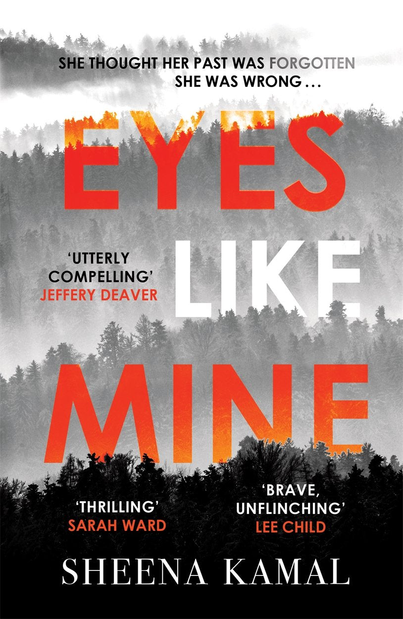 Eyes Like Mine: 'Utterly compelling . . . Will stay with you for a long, long time' Jeffery Deaver 9781785764455