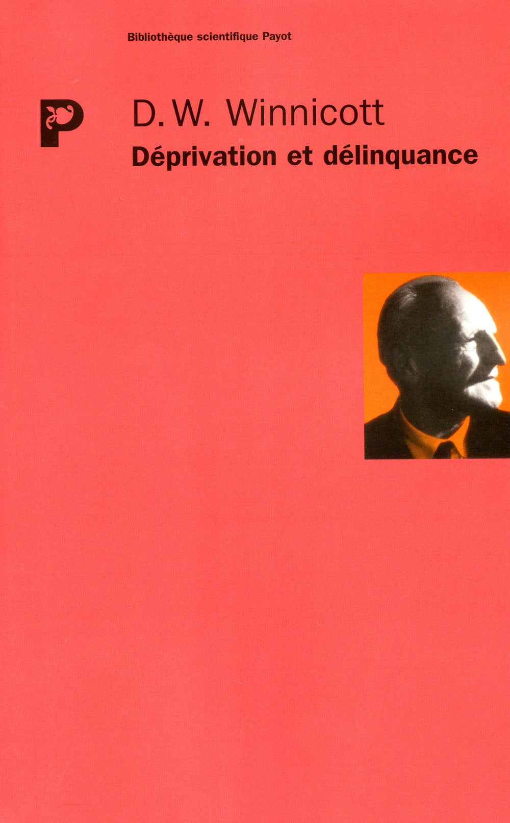 Déprivation et délinquance 9782228887960