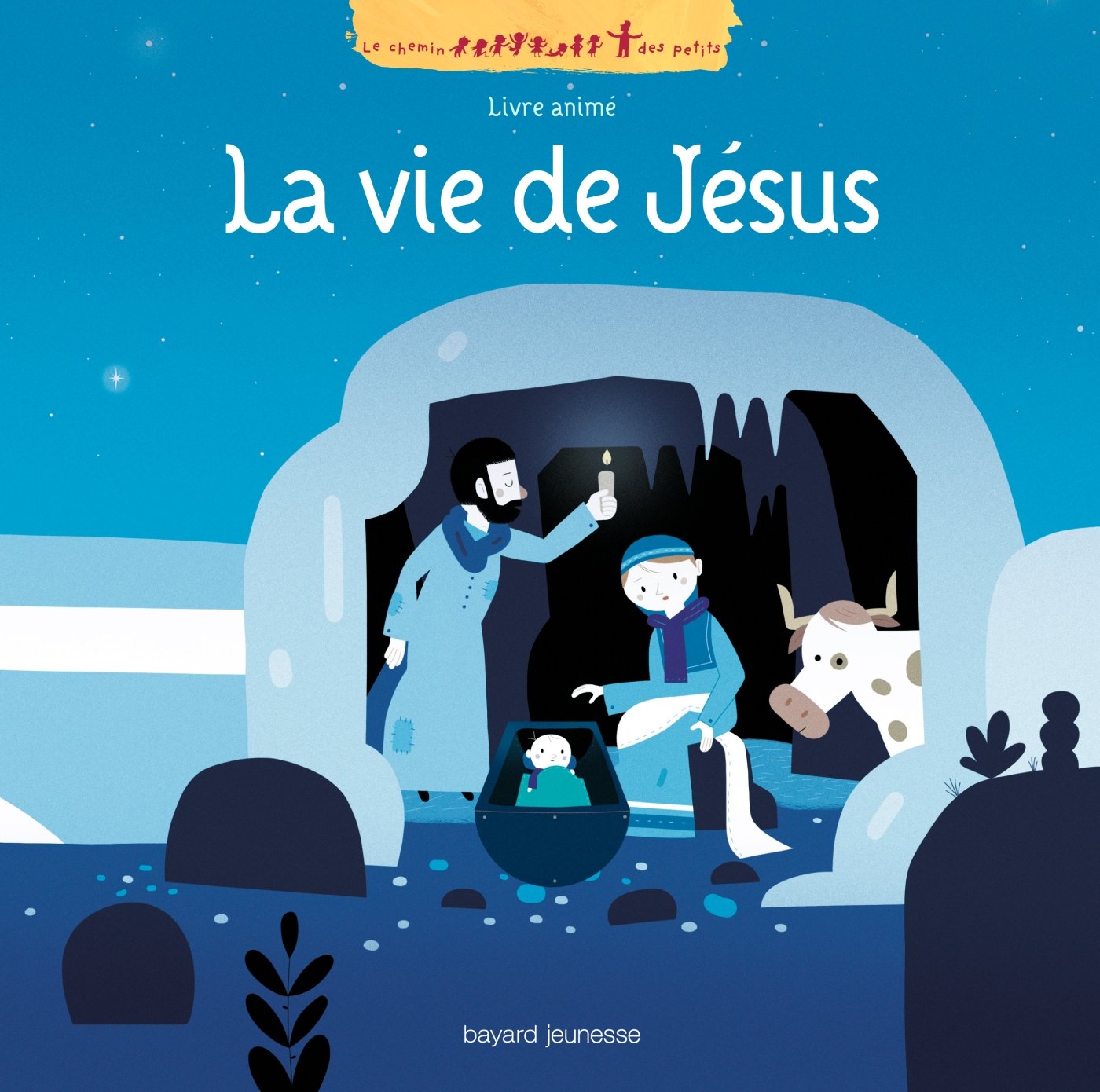 La vie de Jésus 9782747036429