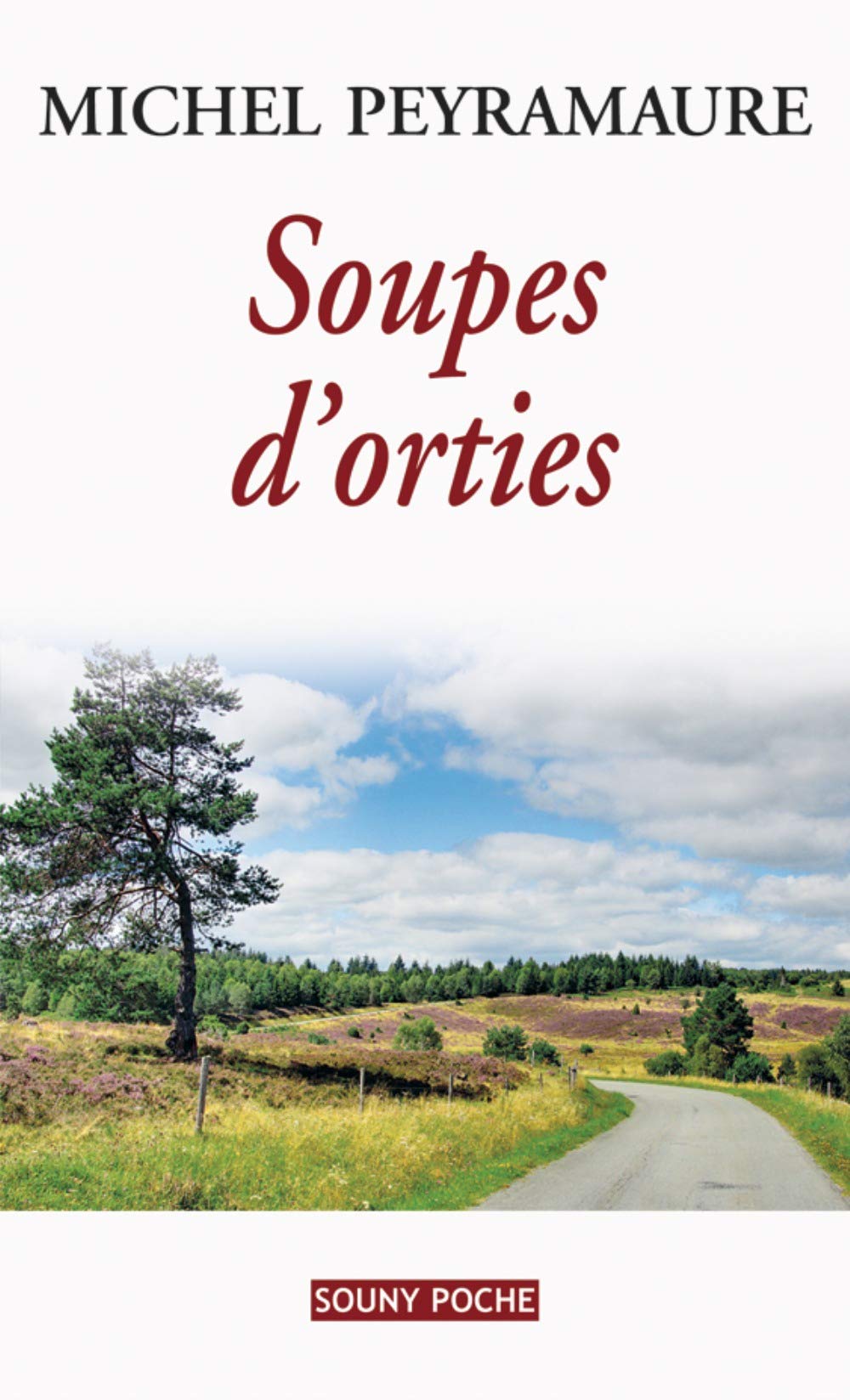 SOUPES D'ORTIES 9782848865522