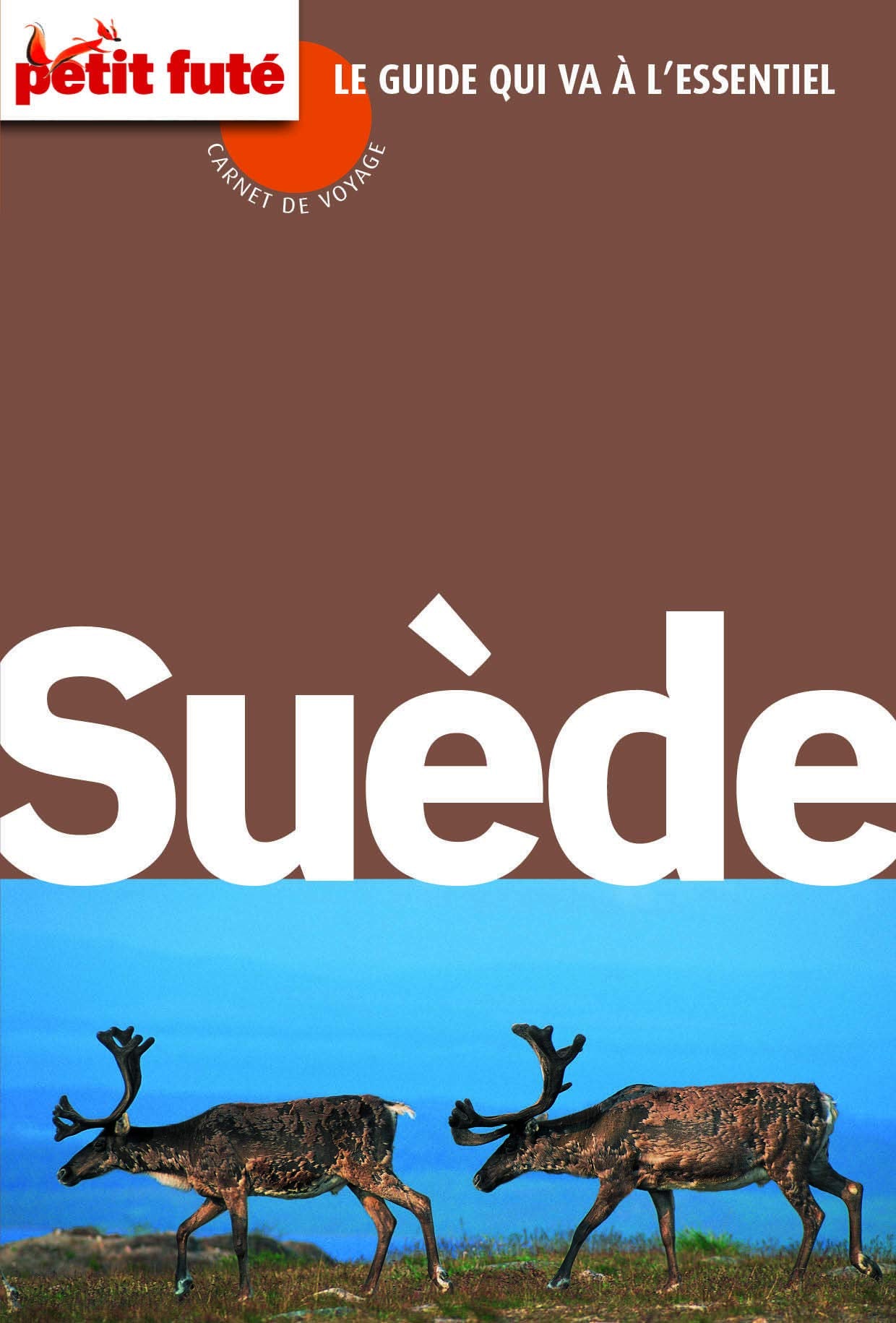 Guide Suède 2016 Carnet Petit Futé 9782746993778