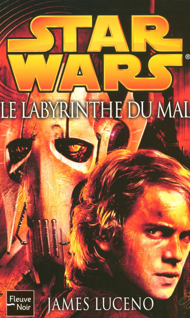 Le Labyrinthe du mal 9782265085121