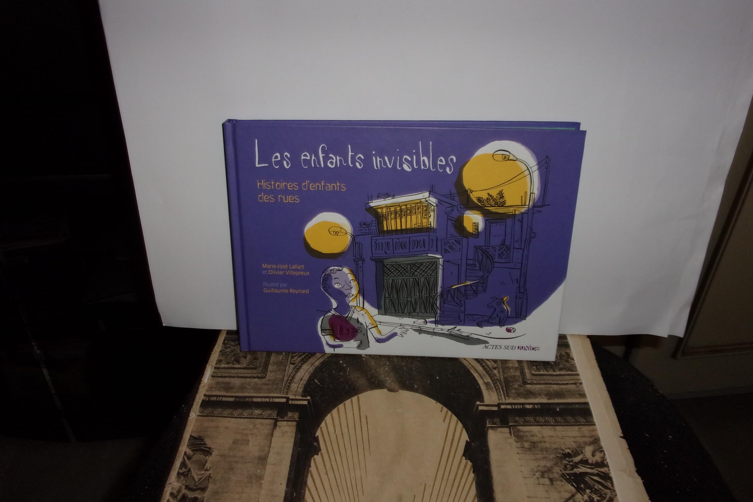 Les enfants invisibles: Histoires d'enfants des rues 9782330009328