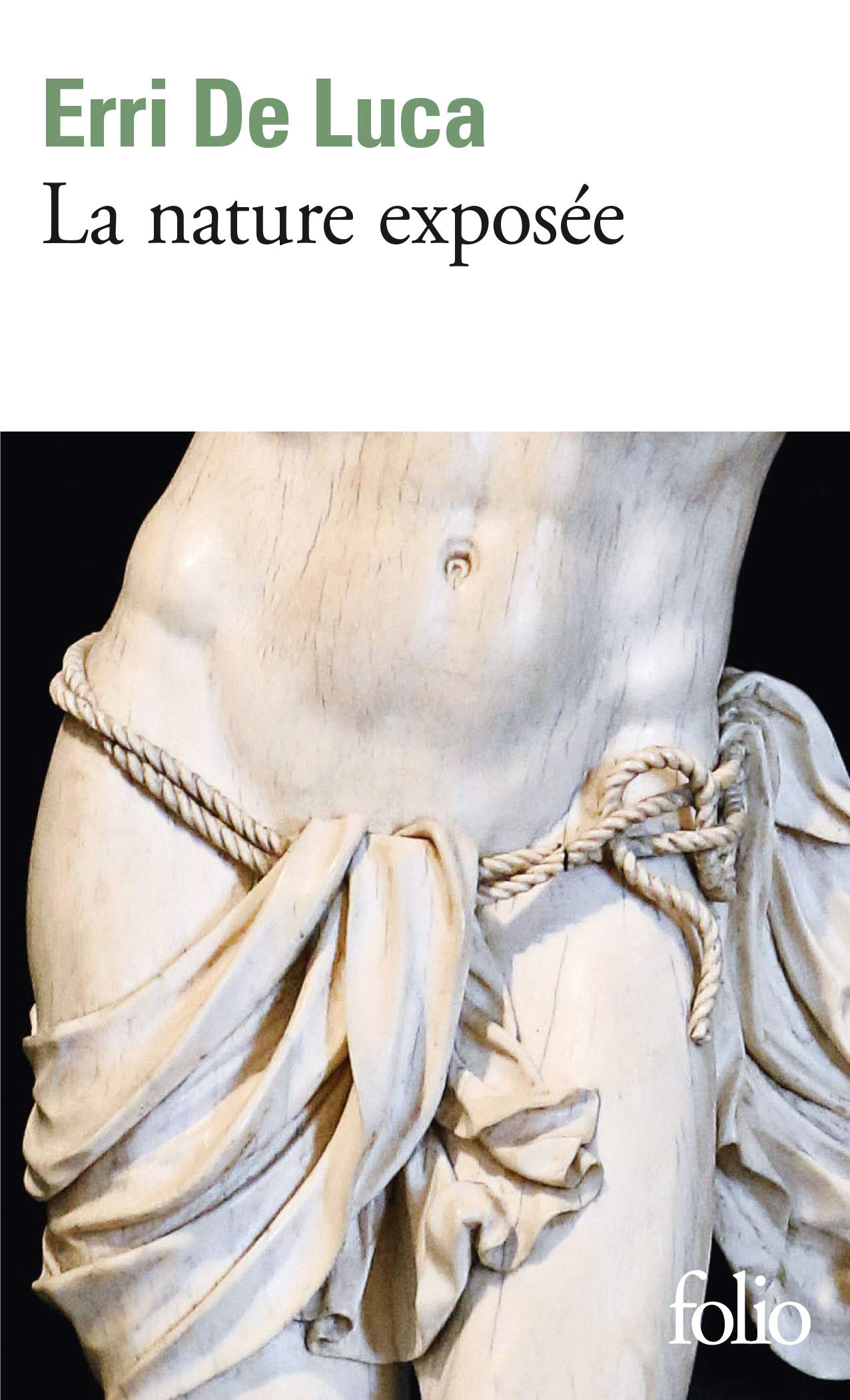 La nature exposée 9782072824982