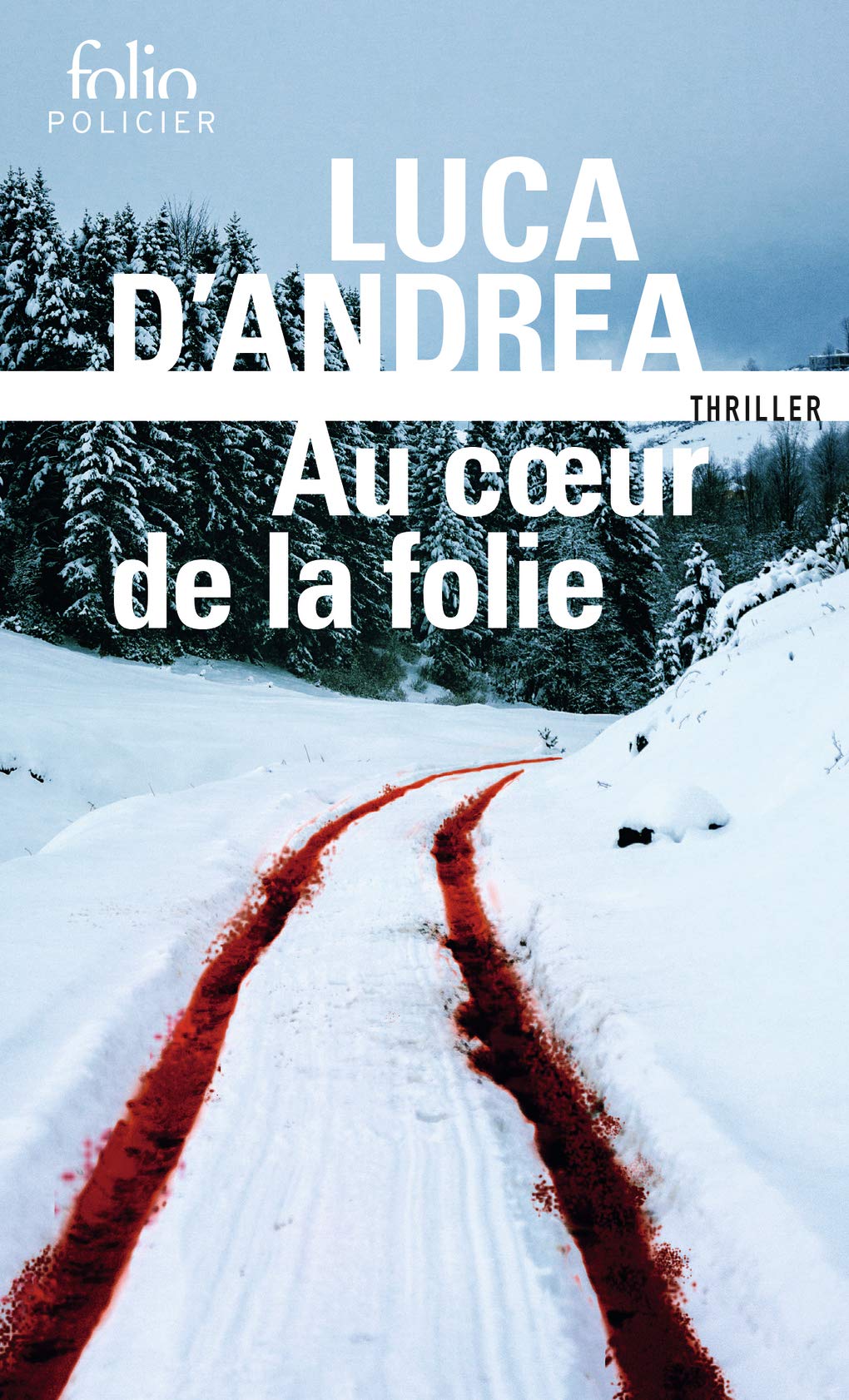 Au cœur de la folie 9782072841583
