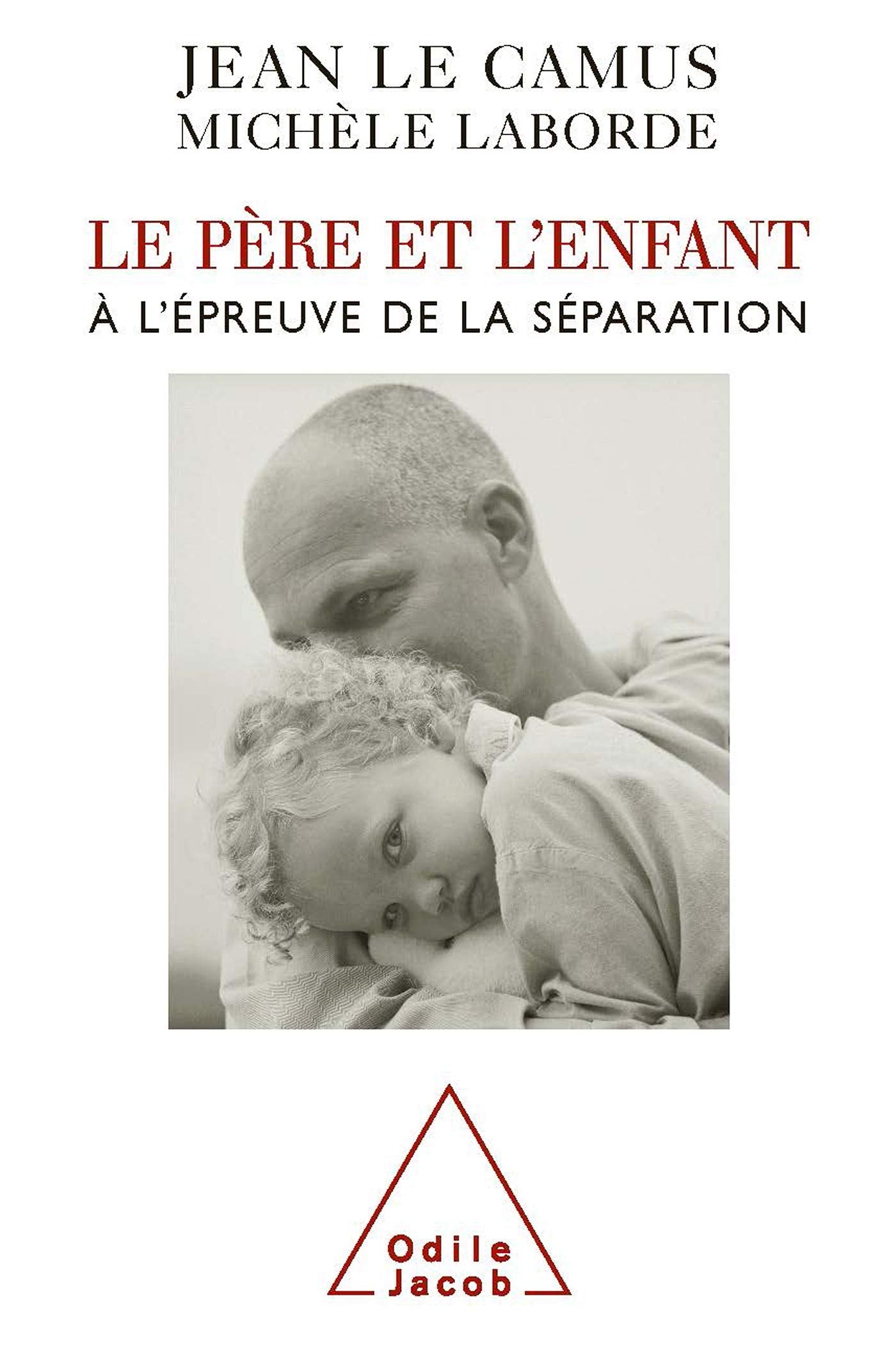 Le Père et l'Enfant: À l'épreuve de la séparation 9782738121547