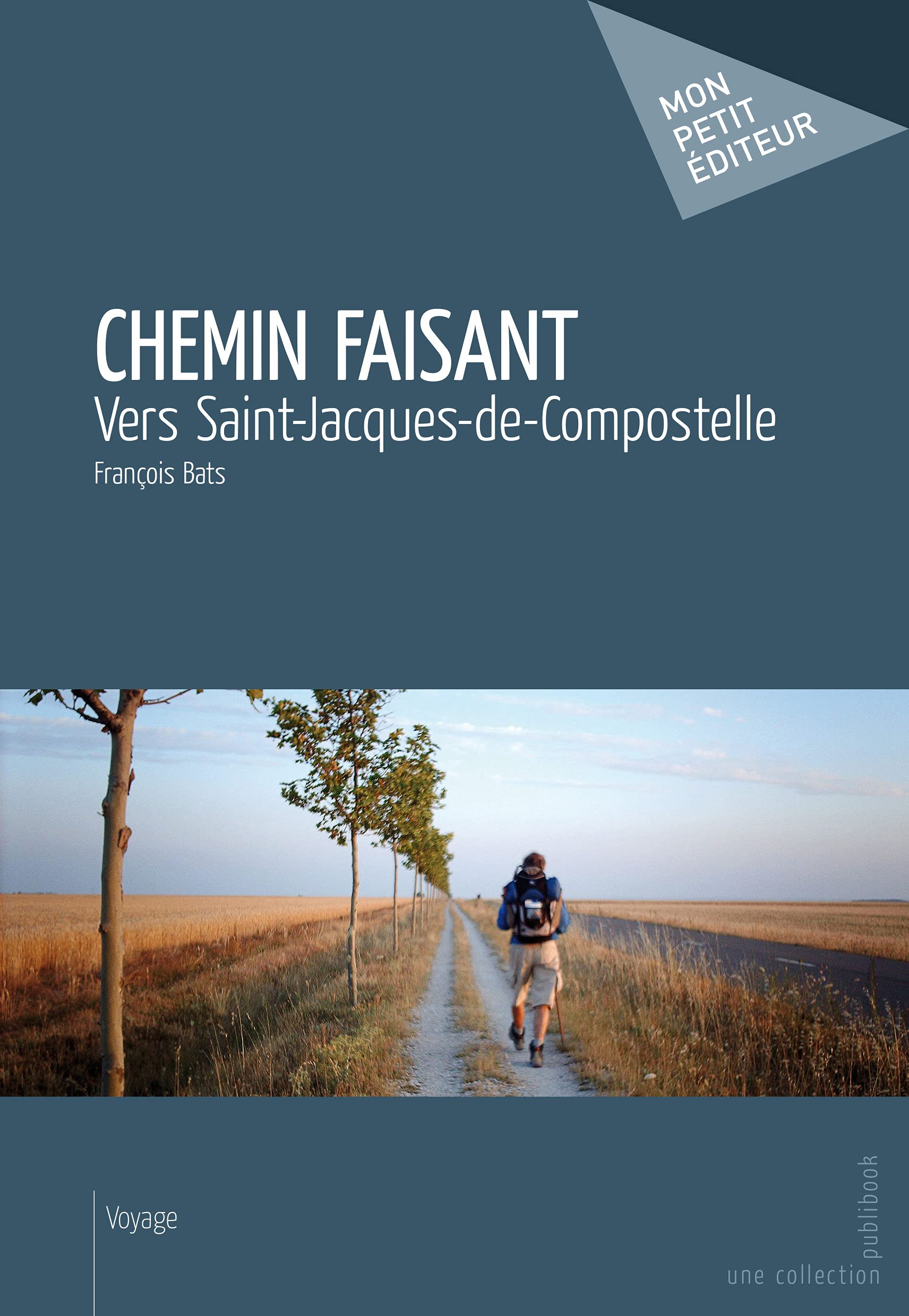 Chemin faisant 9782342004830