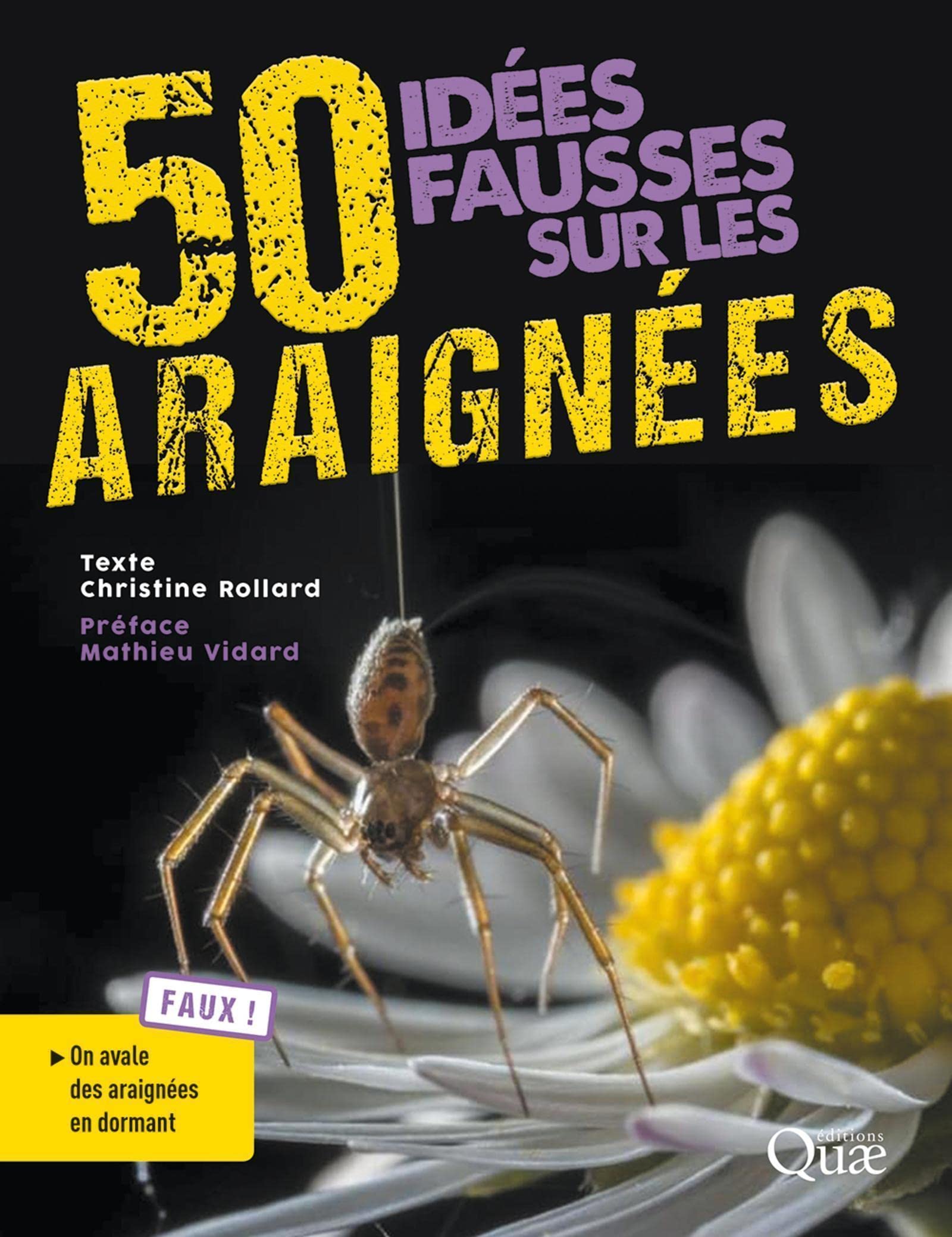 50 idées fausses sur les araignées 9782759232390