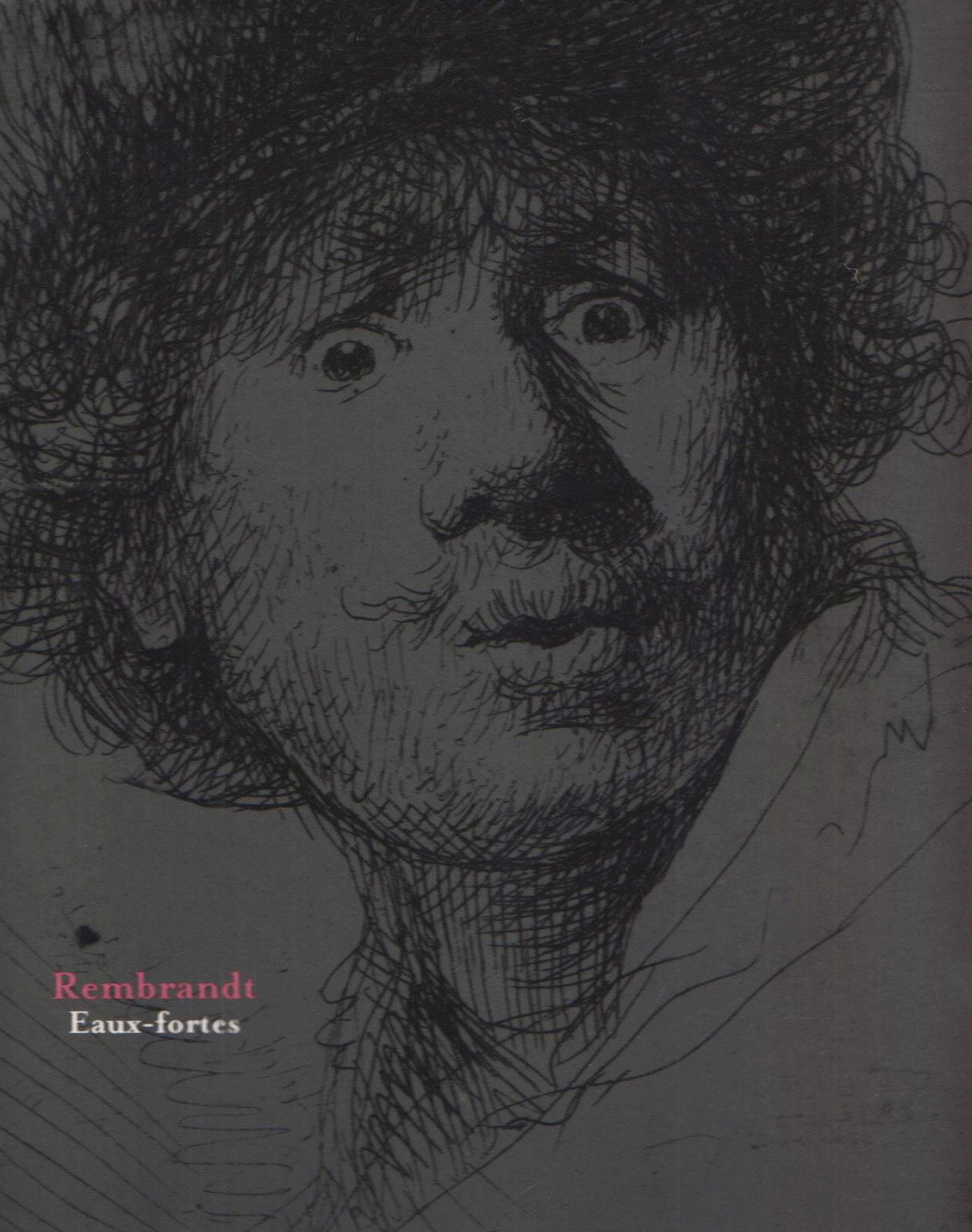 Rembrandt: Eaux-fortes 9782879009674