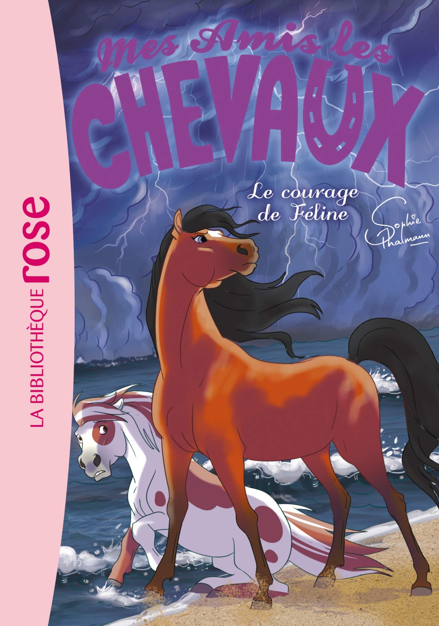 Mes amis les chevaux 23 - Le courage de Féline 9782017061366