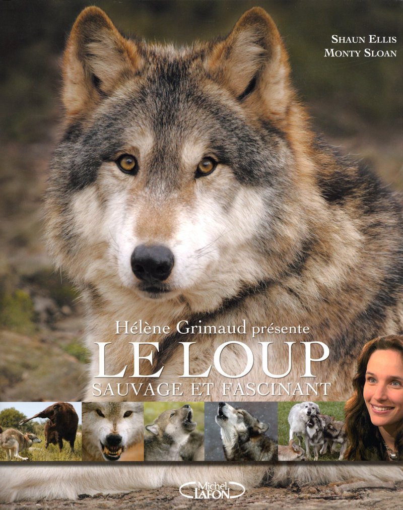 Loup 9782749905389