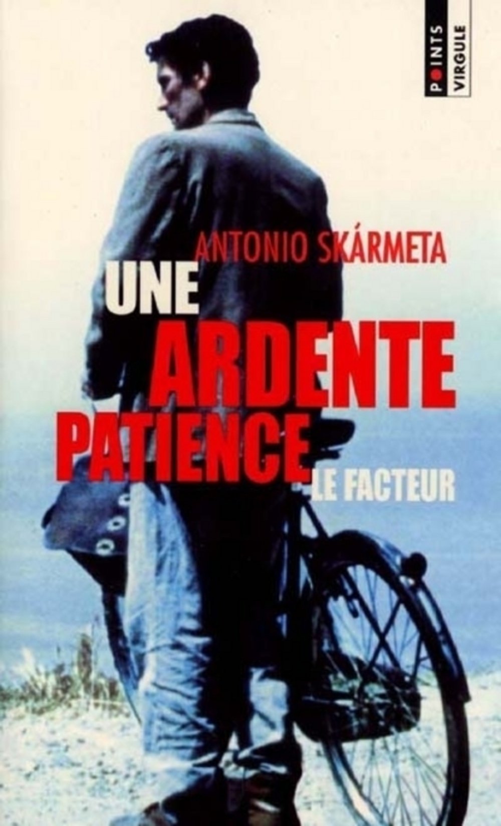 Une ardente patience 9782020481694