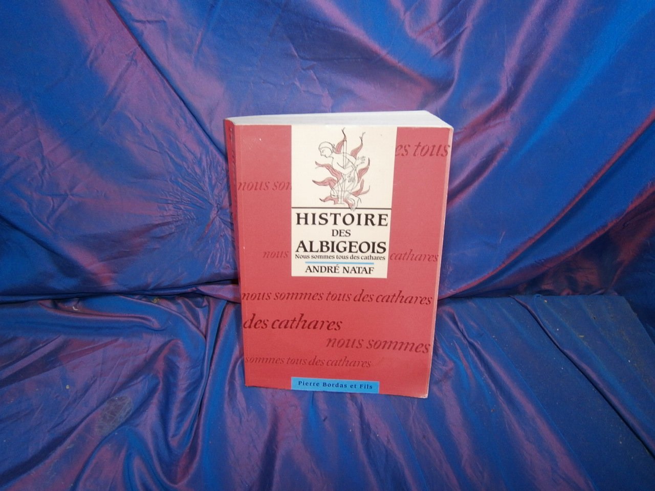 L'histoire des albigeois 9782863111697