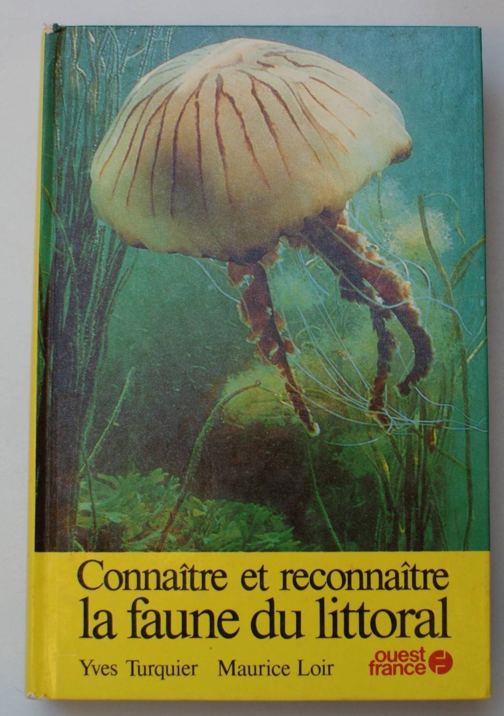 La faune du littoral 9782858823055