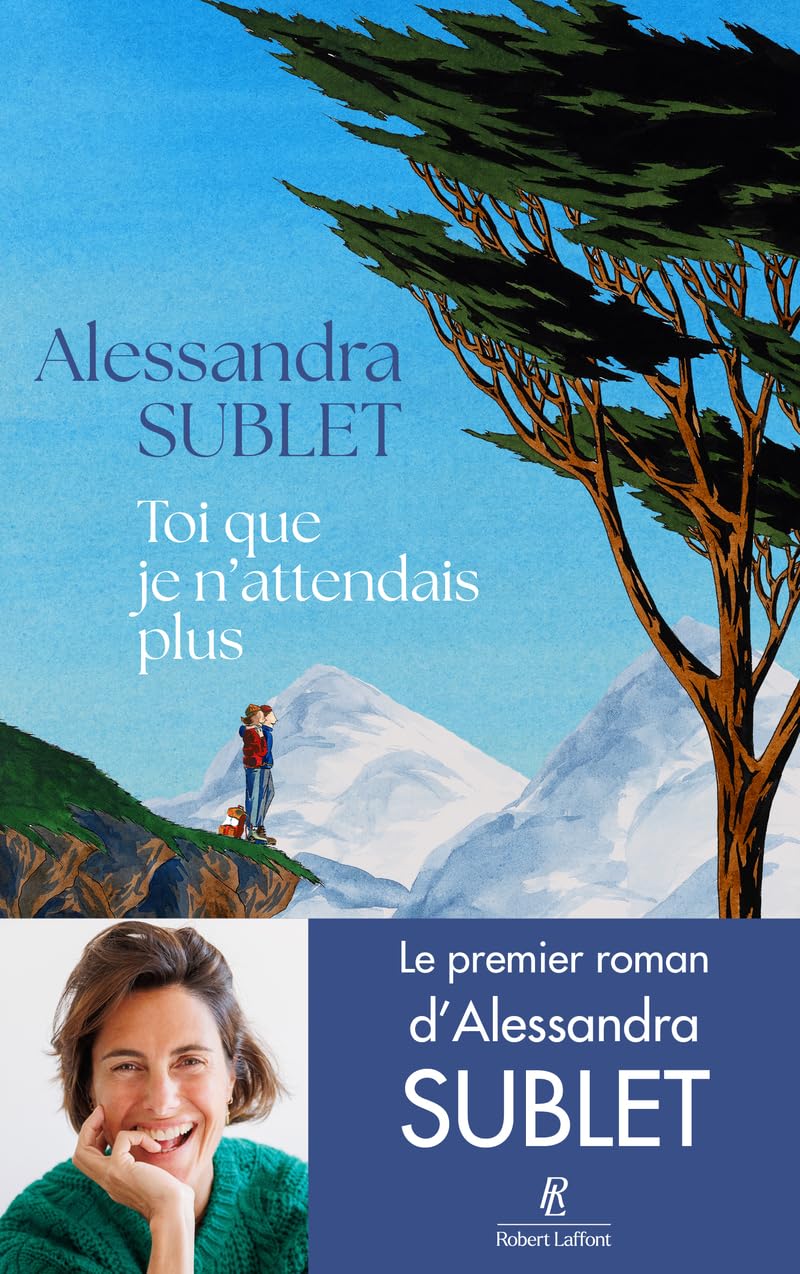Toi que je n'attendais plus 9782221283905