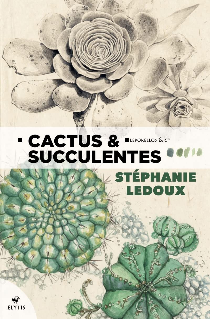 Cactus & succulentes 9782356393180