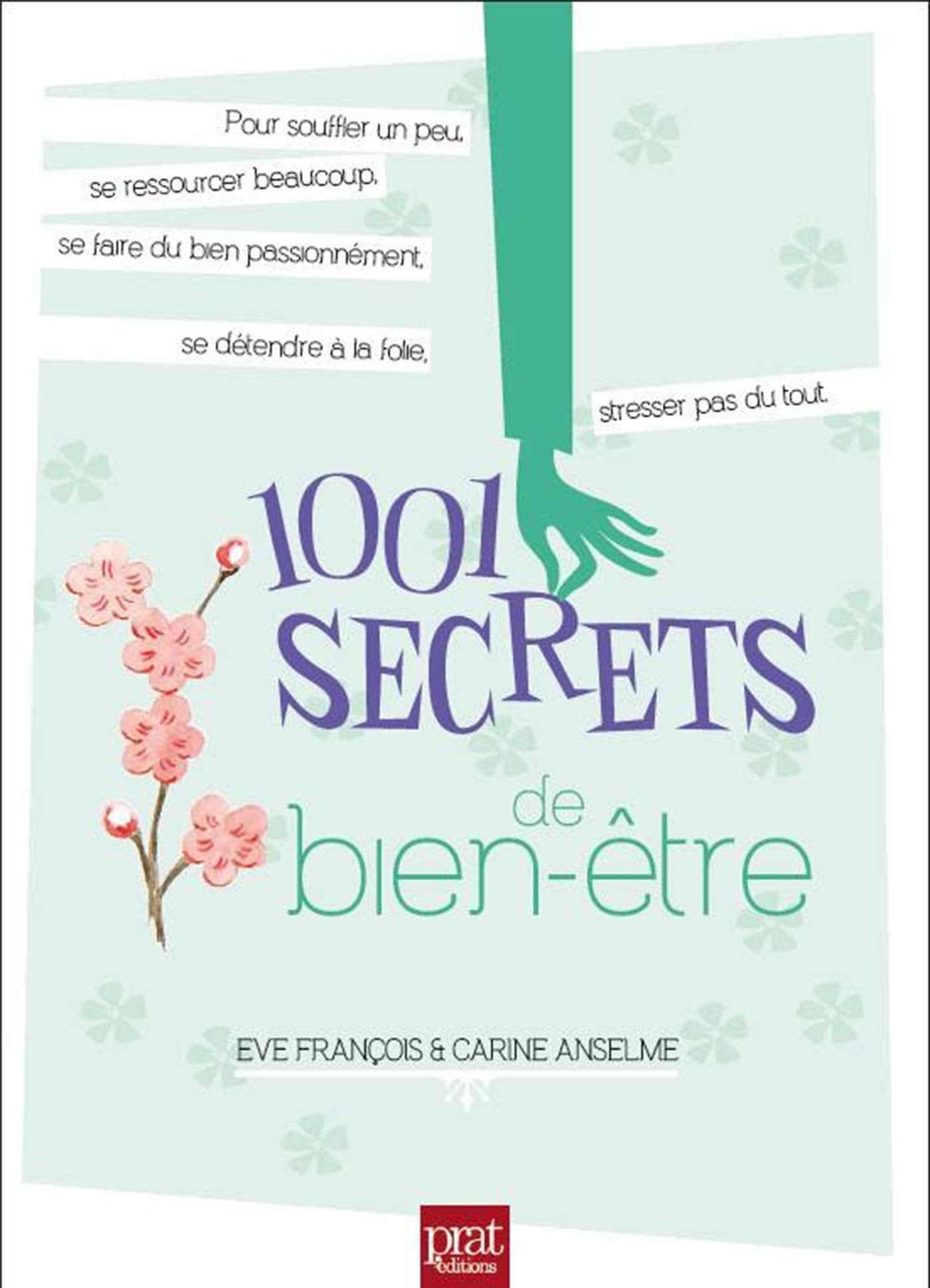 1001 secrets de bien etre ned 9782810415205