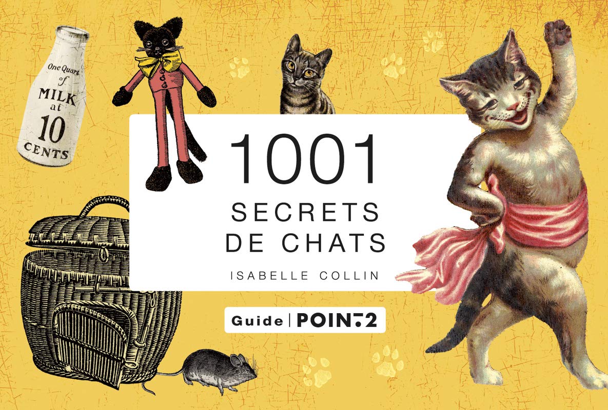 1001 secrets de chats 9782363941626