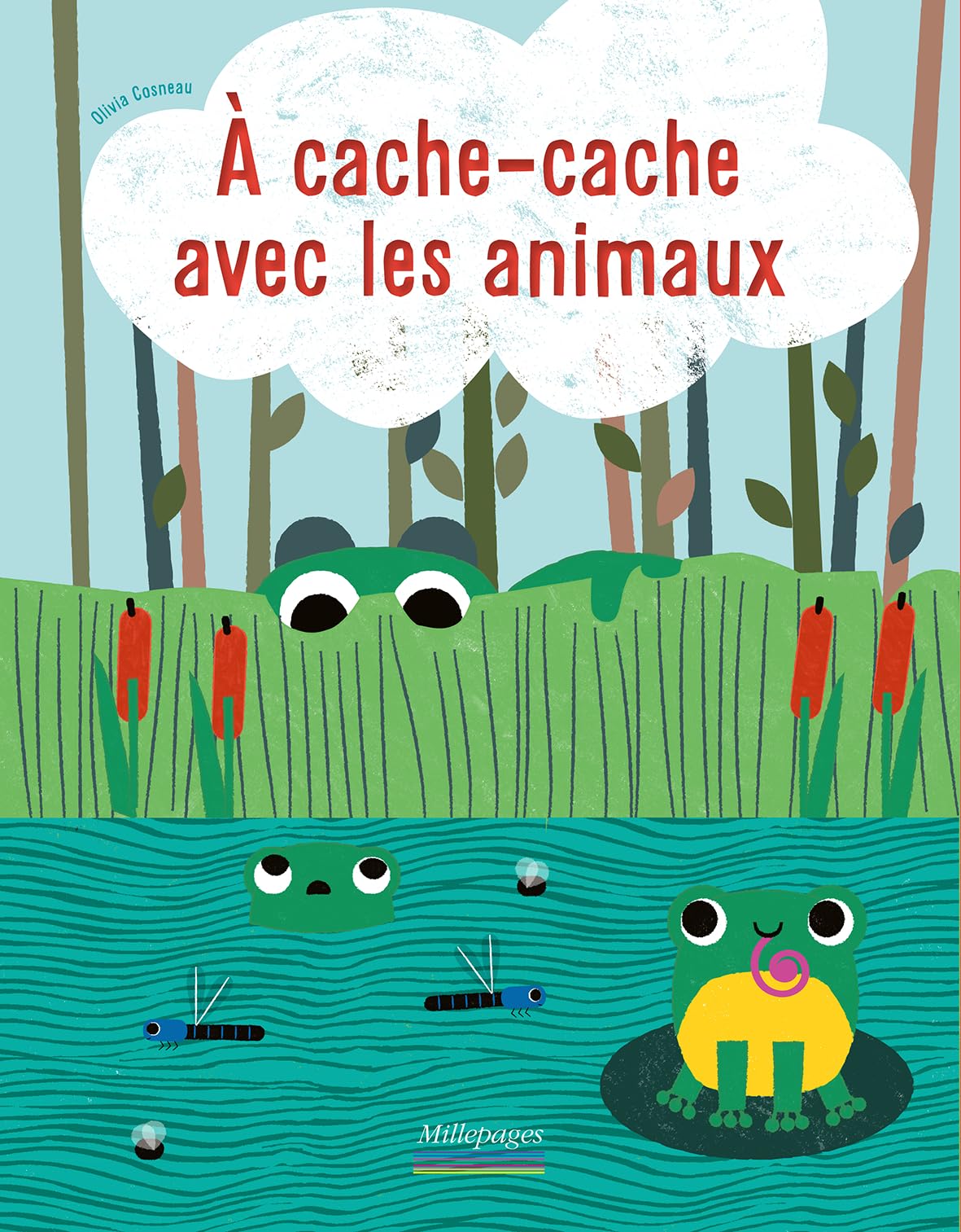 A cache-cache avec les animaux 9782842184315
