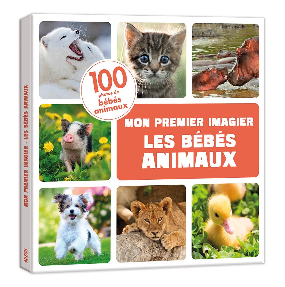 Les bébés animaux 9782733888827