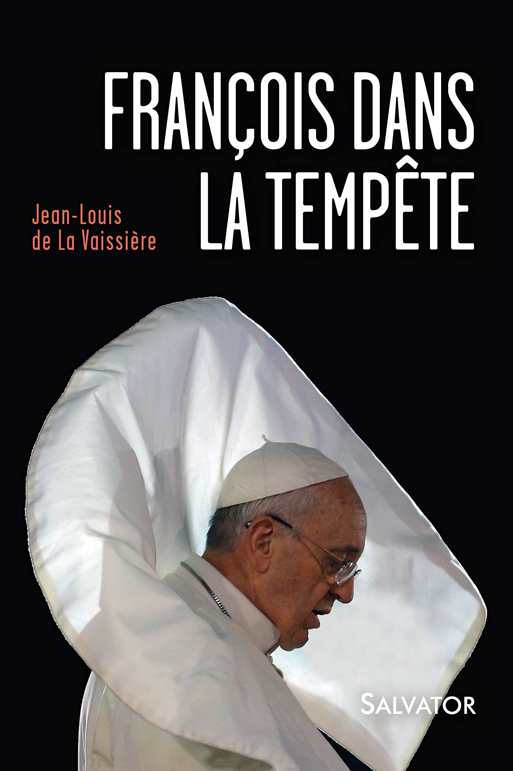 François dans la tempête 9782706714641