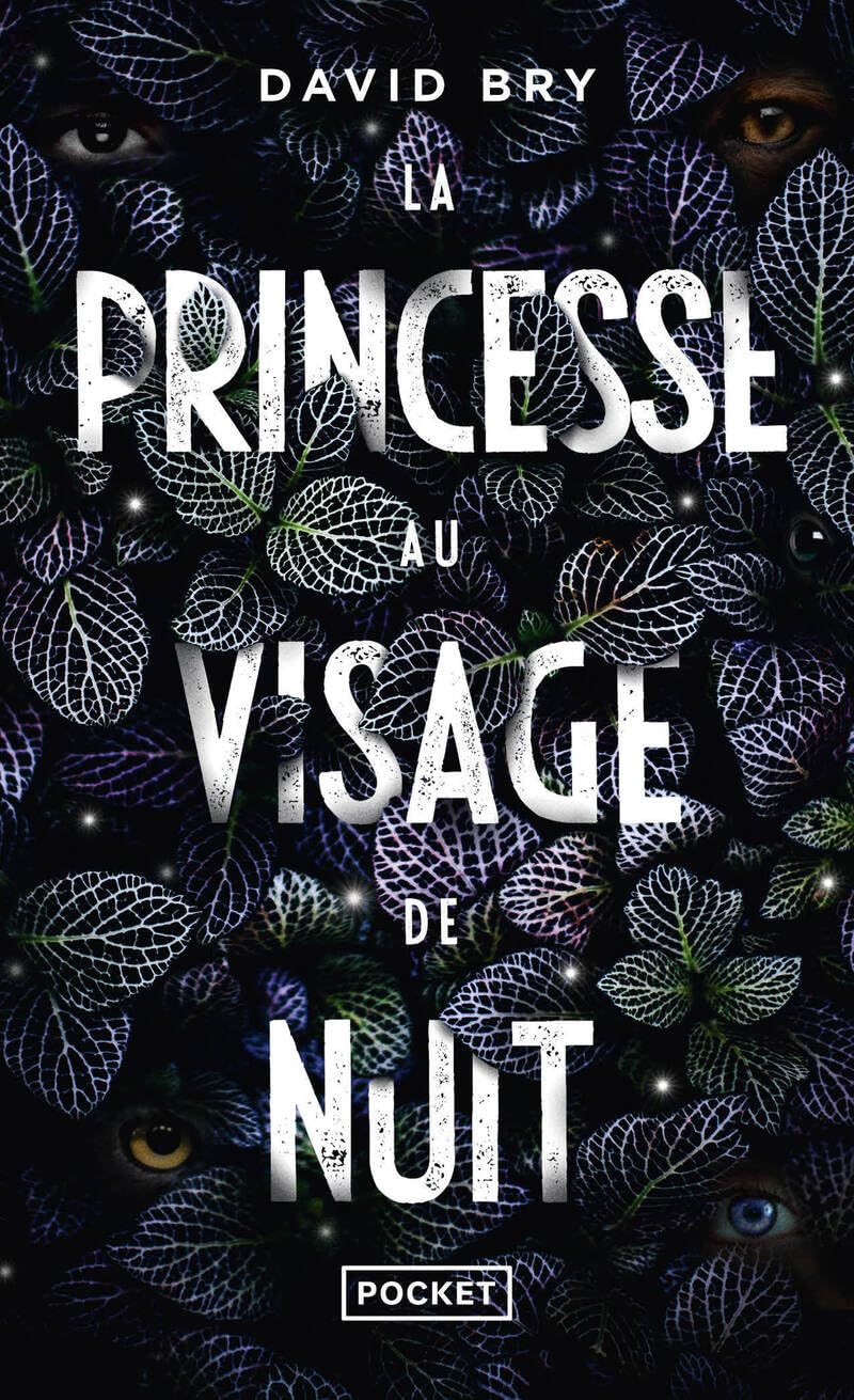 La Princesse au visage de nuit 9782266322126