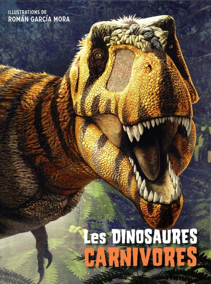 Les dinosaures carnivores 9788832911992
