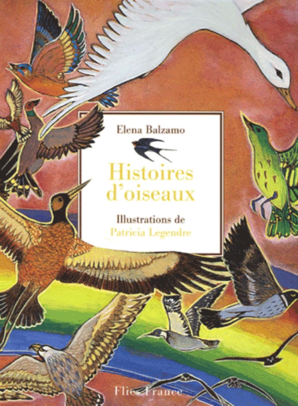 Histoires d'oiseaux 9782910272395