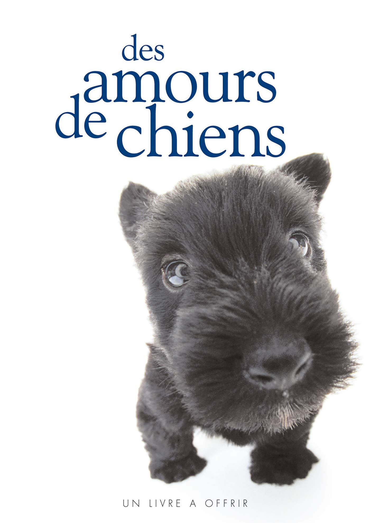 AMOURS DE CHIENS 9782873883768