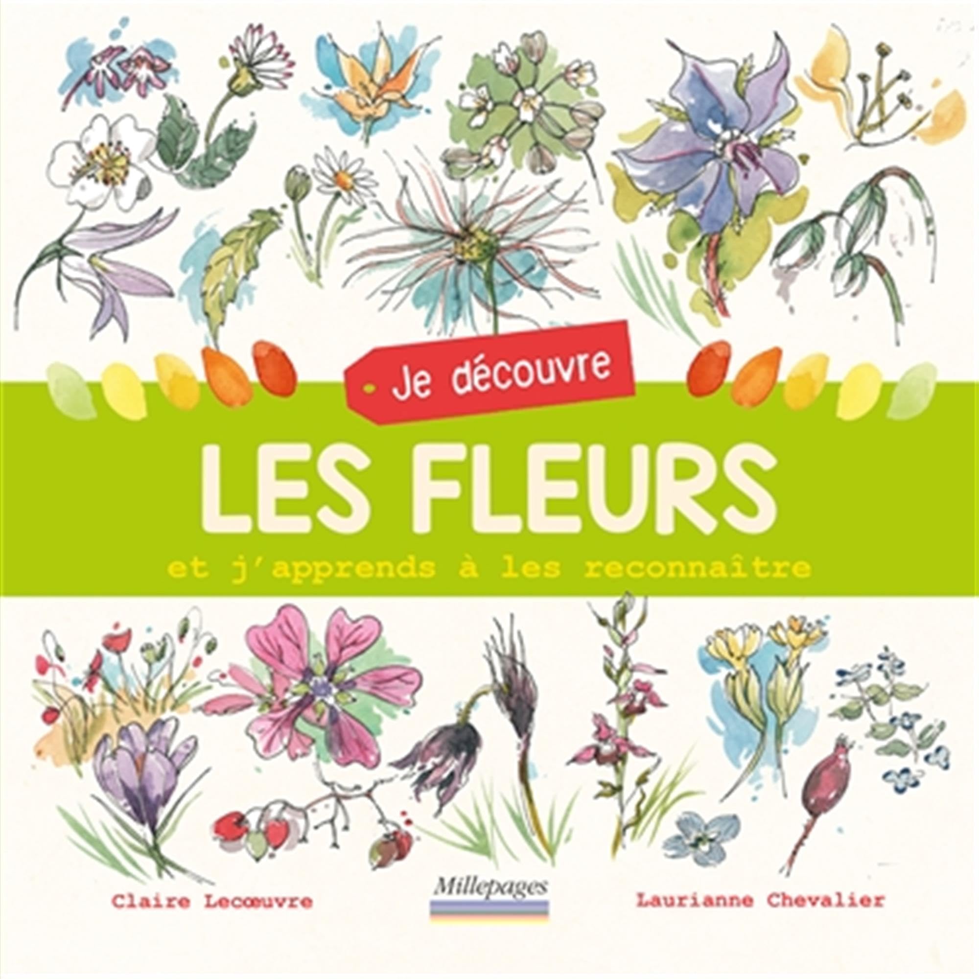 Je découvre les fleurs: Et j'apprends à les reconnaître 9782842184285