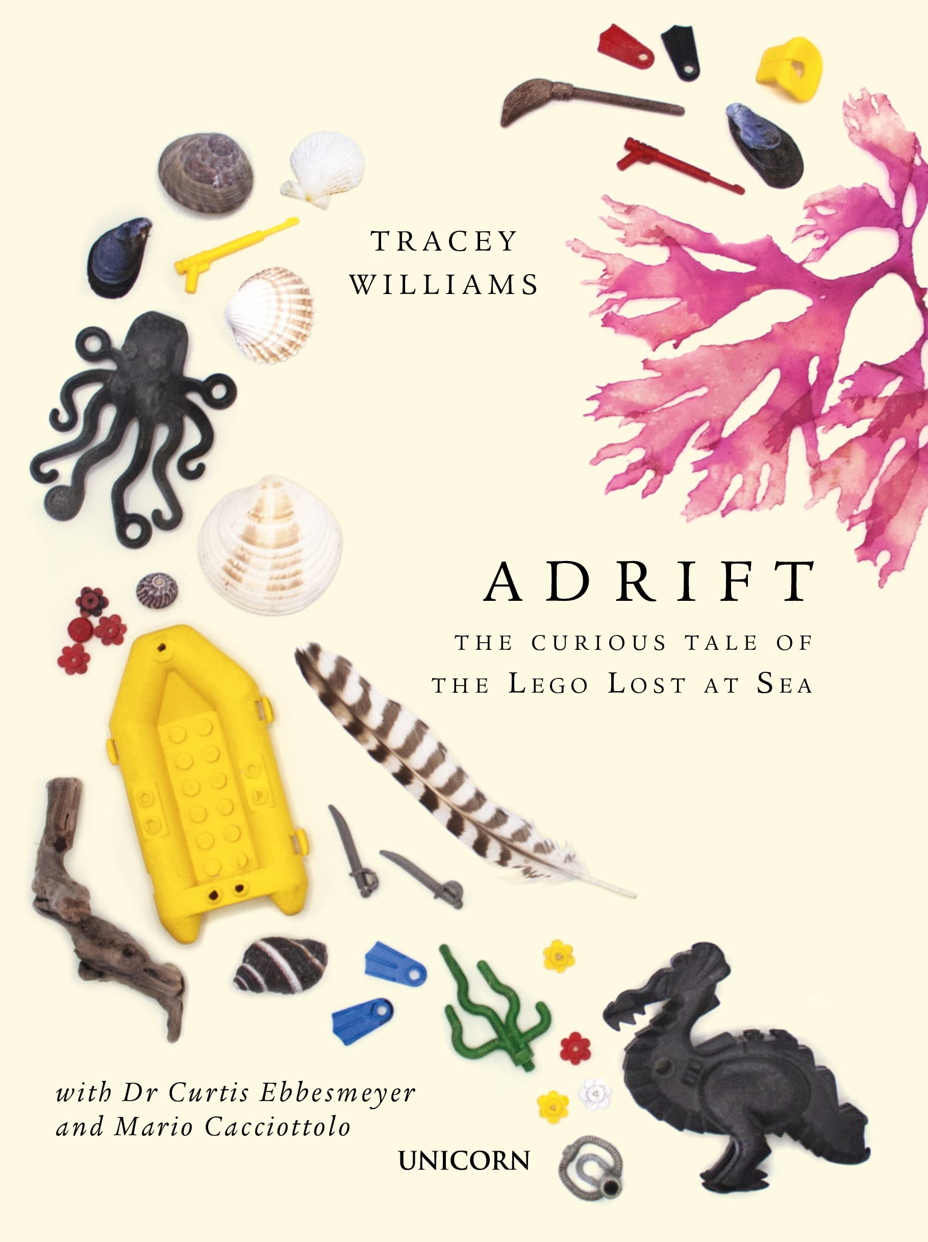 Adrift: The Curious Tale of the Lego Lost at Sea 9781913491192