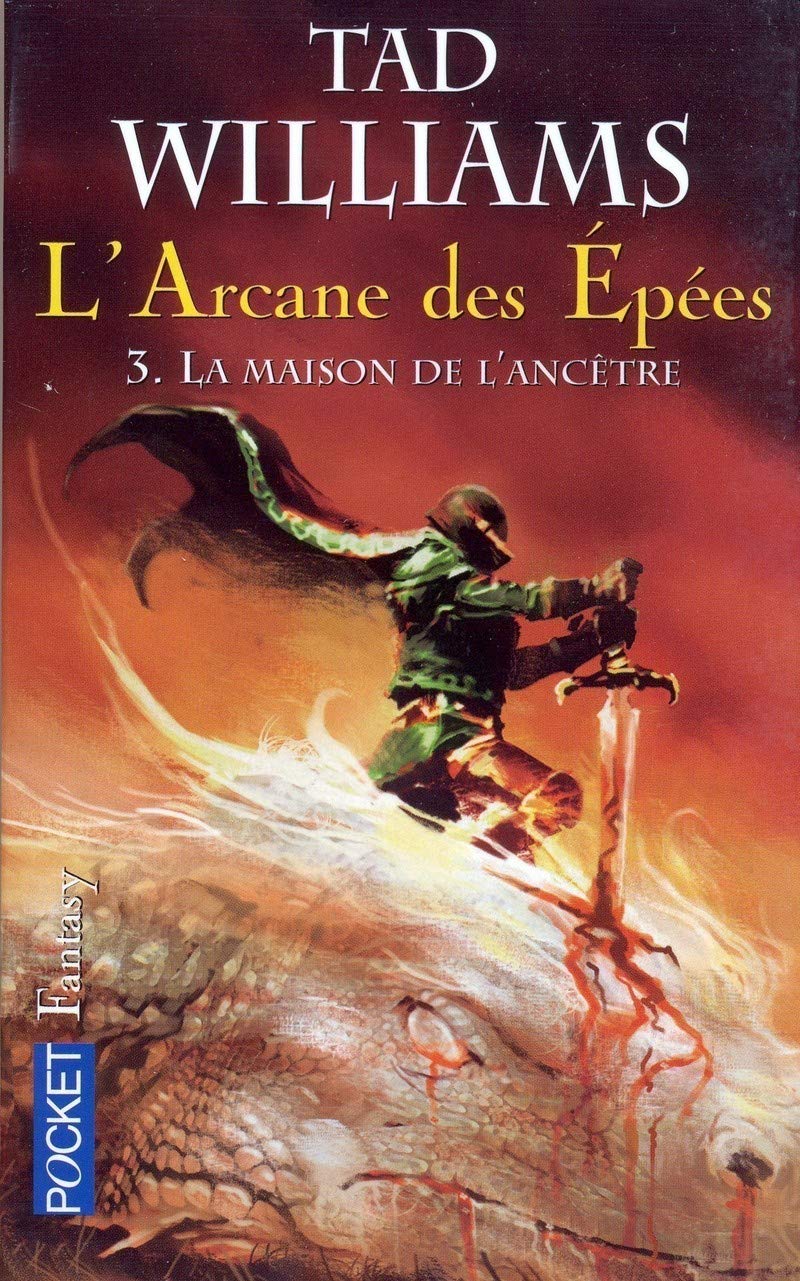 L'arcane des épées: La route des rêves (3) 9782266169660