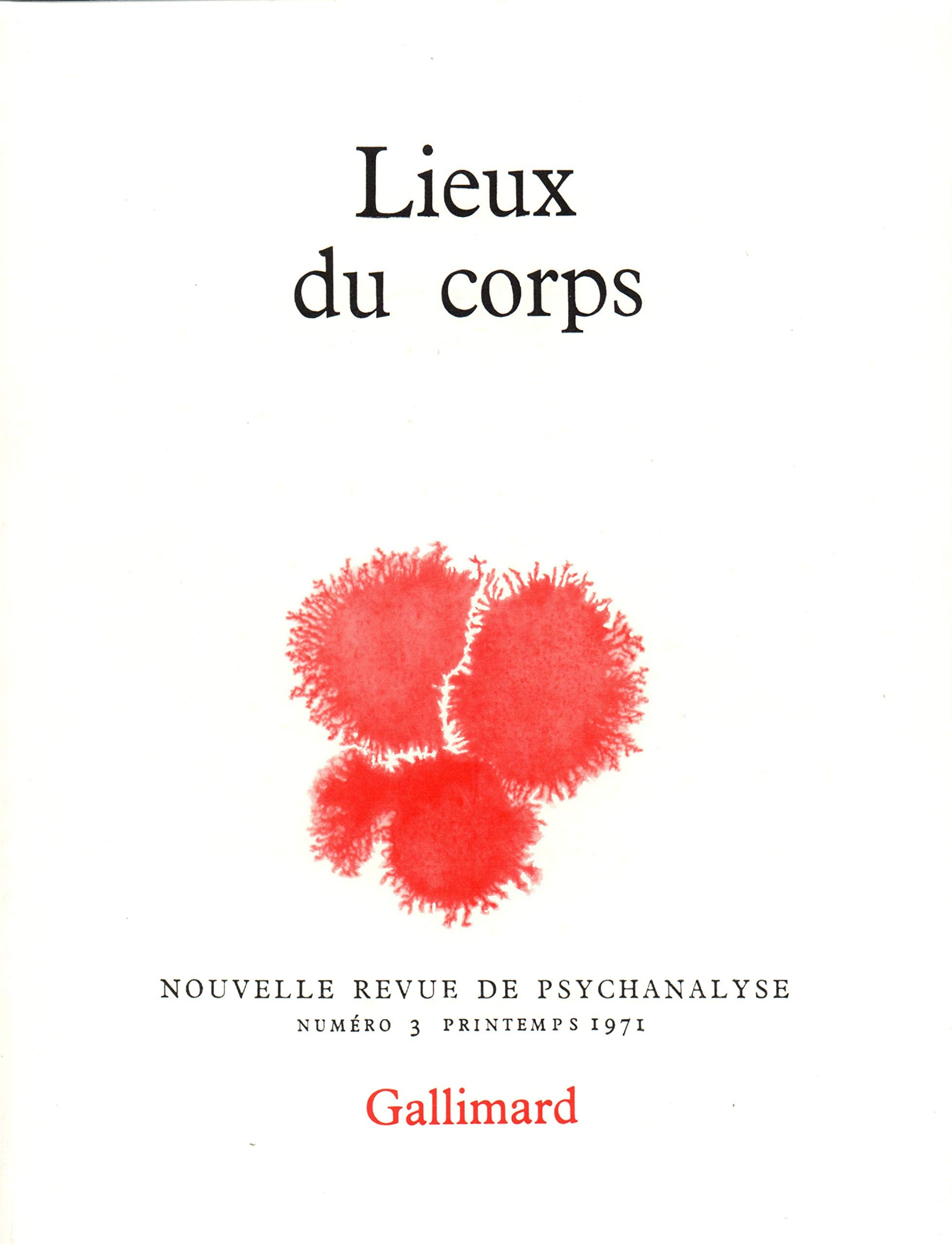 Les lieux du corps - Nouvelle Revue de psychanalyse N°3 9782070279753