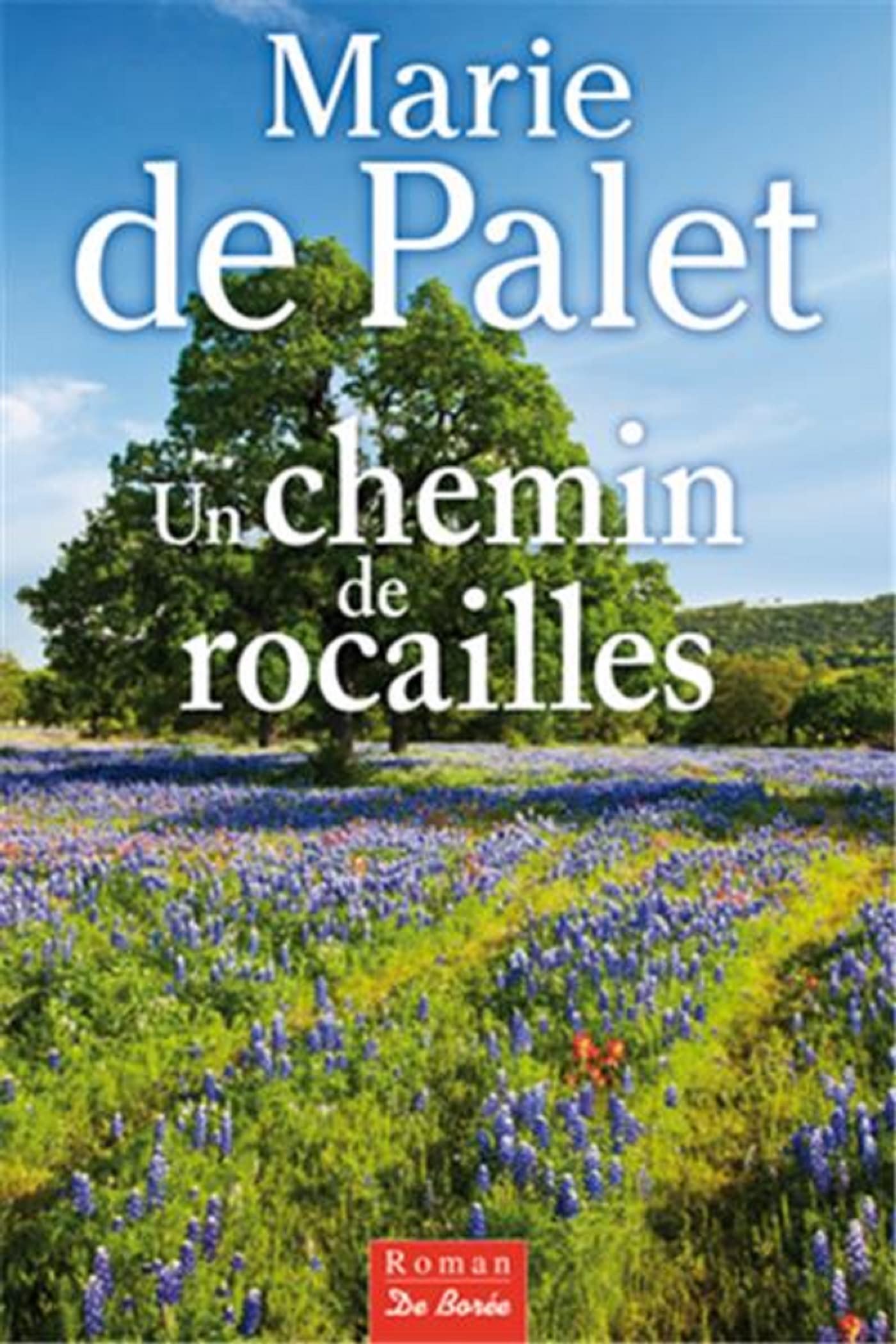 CHEMIN DE ROCAILLES (UN) 9782812903090