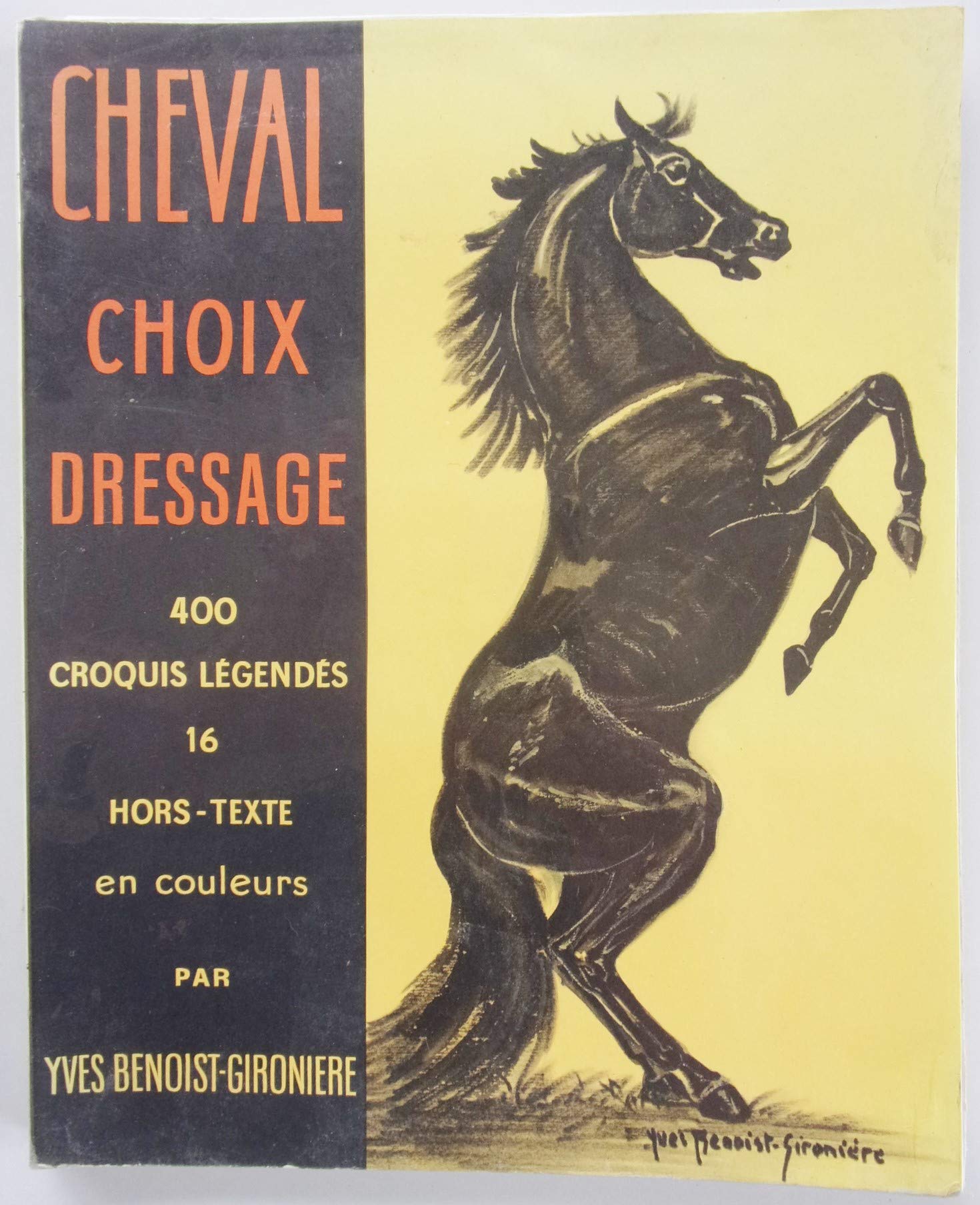 Y. Benoist-Gironière. Cheval : Choix, dressage 