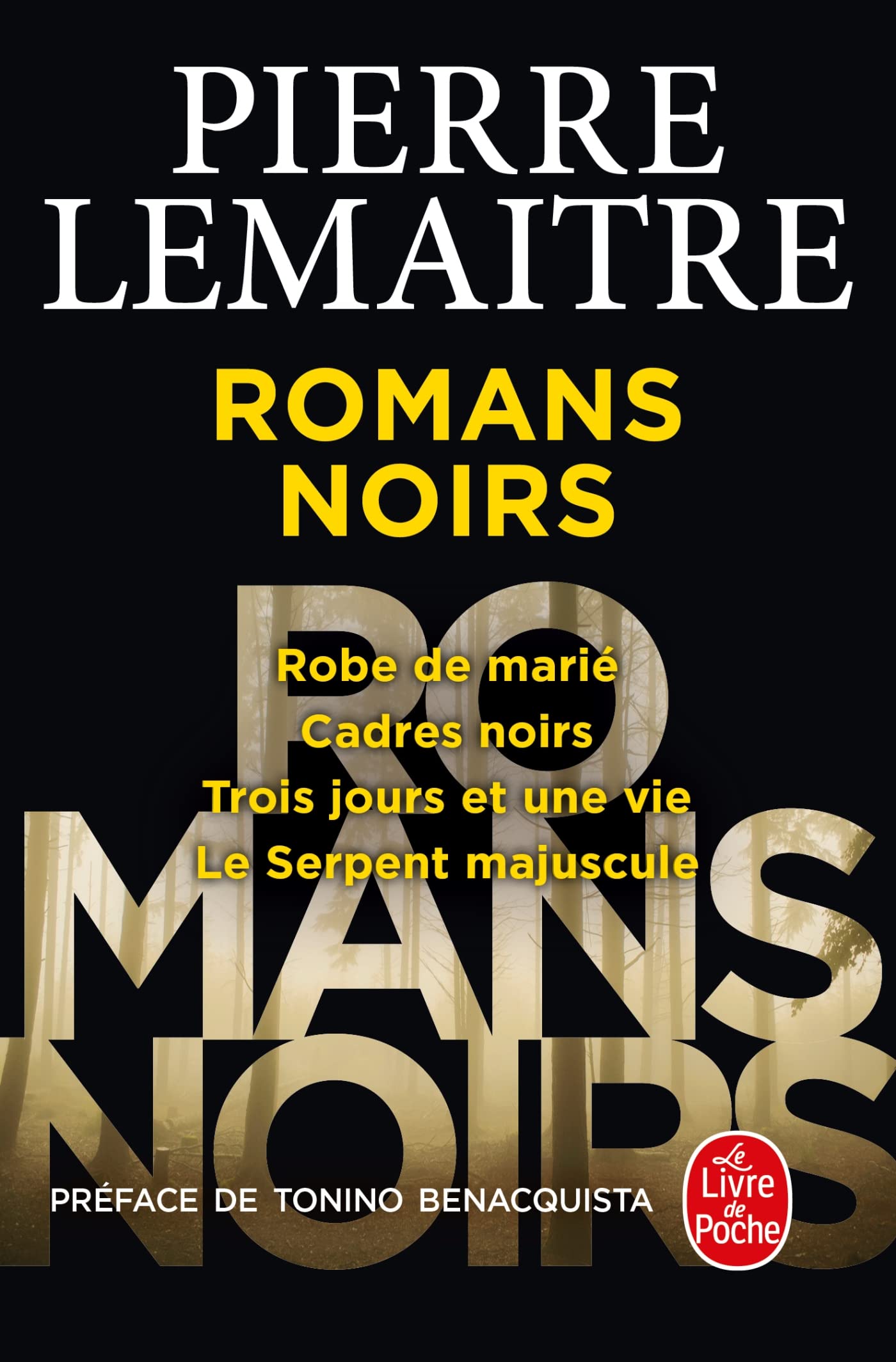Les Romans noirs 9782253189848