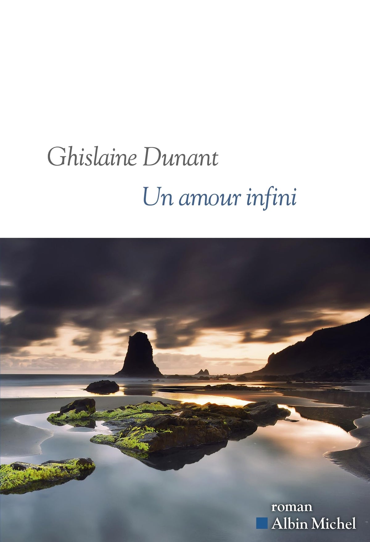Un amour infini: Sélections Prix Goncourt et Médicis 9782226498687