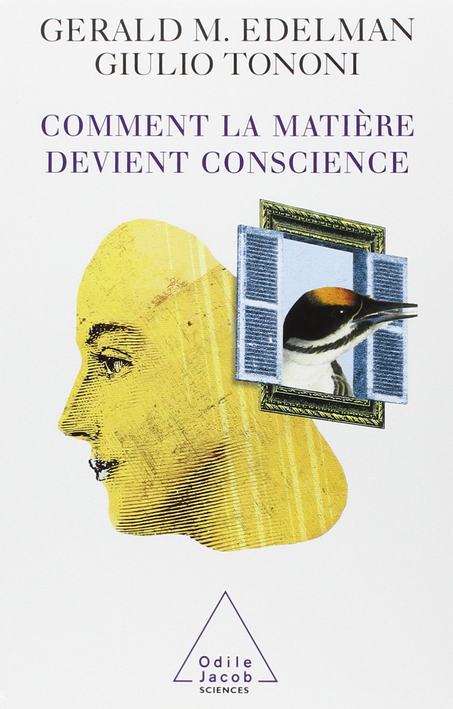 Comment la matière devient conscience 9782738108081