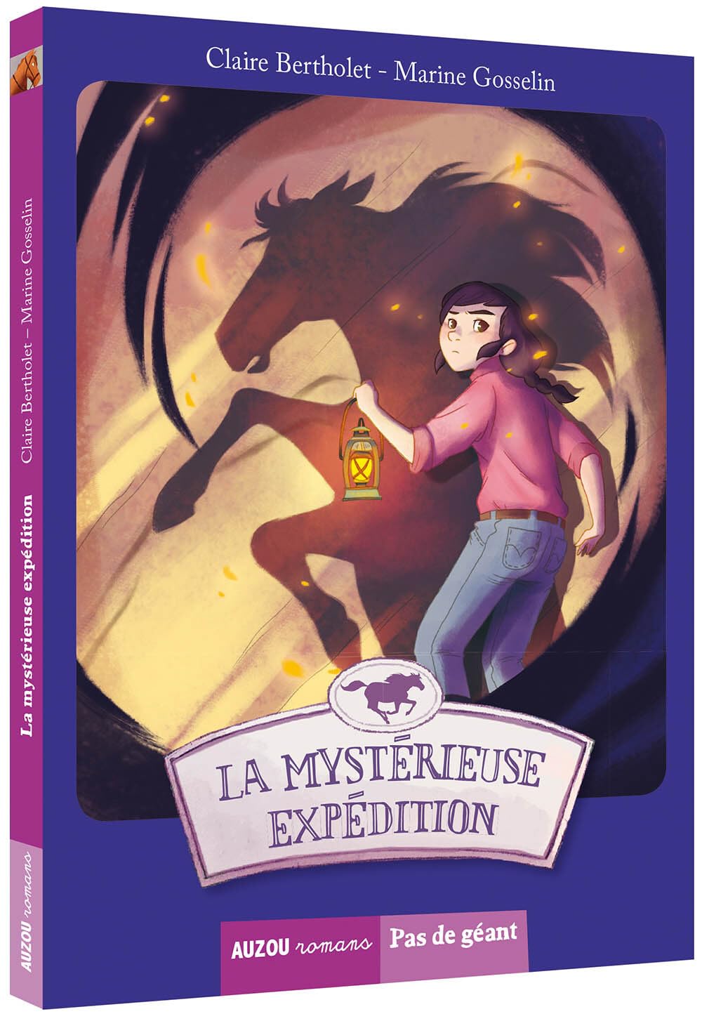 La mystérieuse expédition (collection pas de géant) 9782733839584