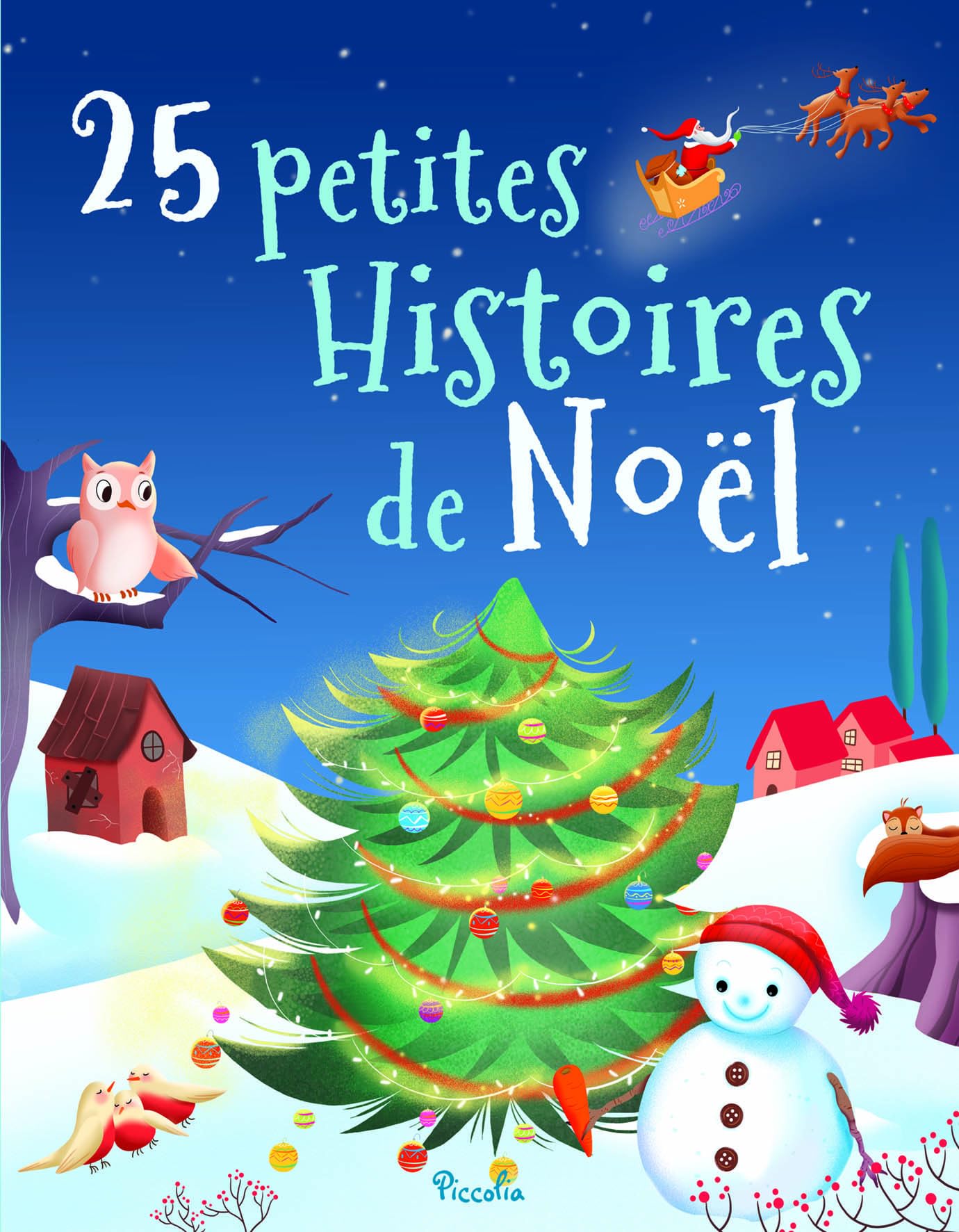 25 petites Histoires de Noel 9782753069961