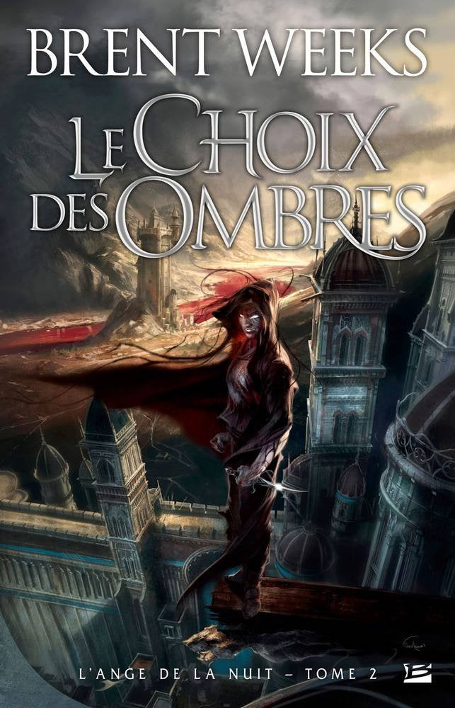 L'Ange de la Nuit, tome 2 : Le Choix des ombres 9782352943280