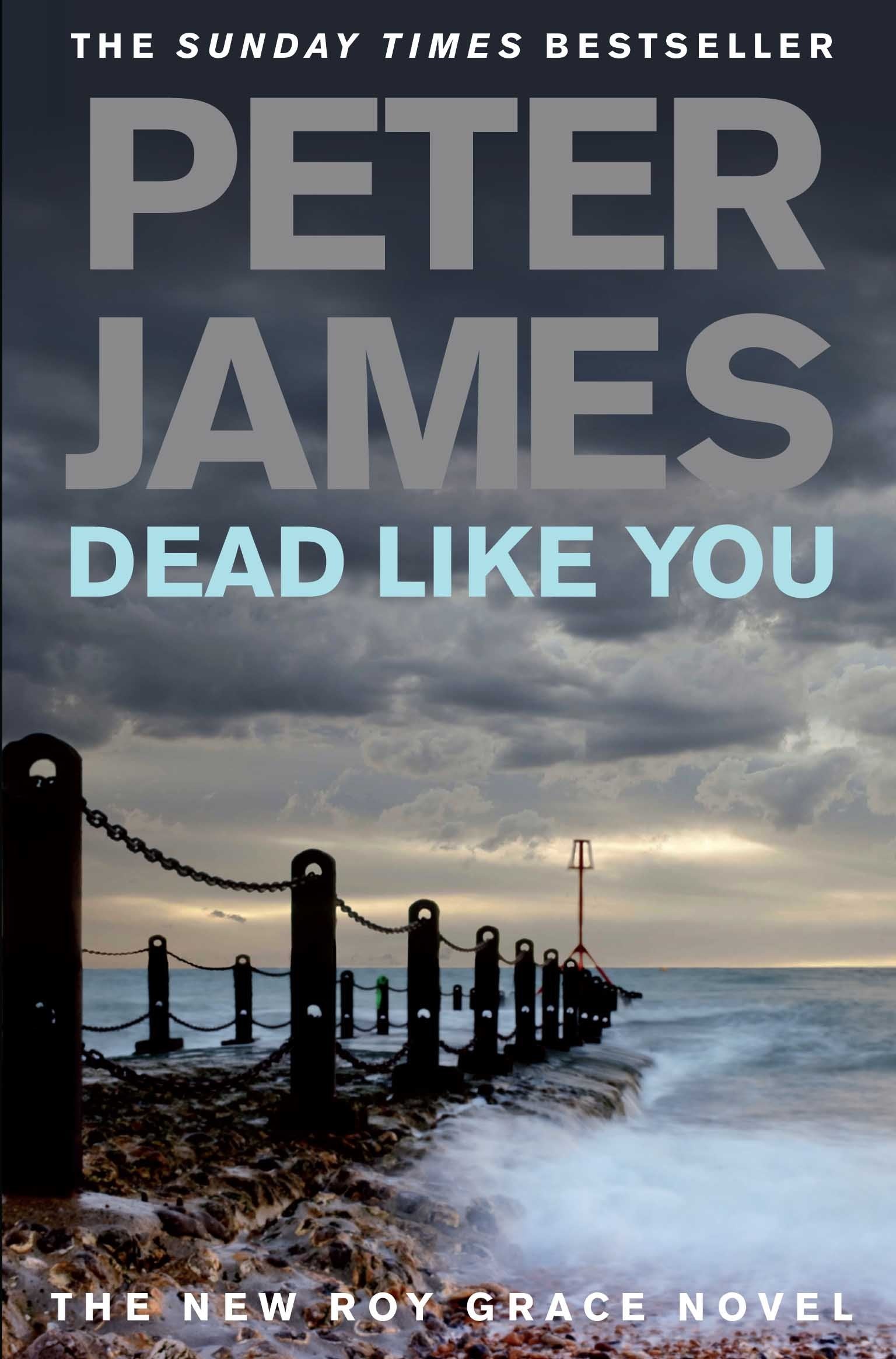 Dead Like You 9780330456791