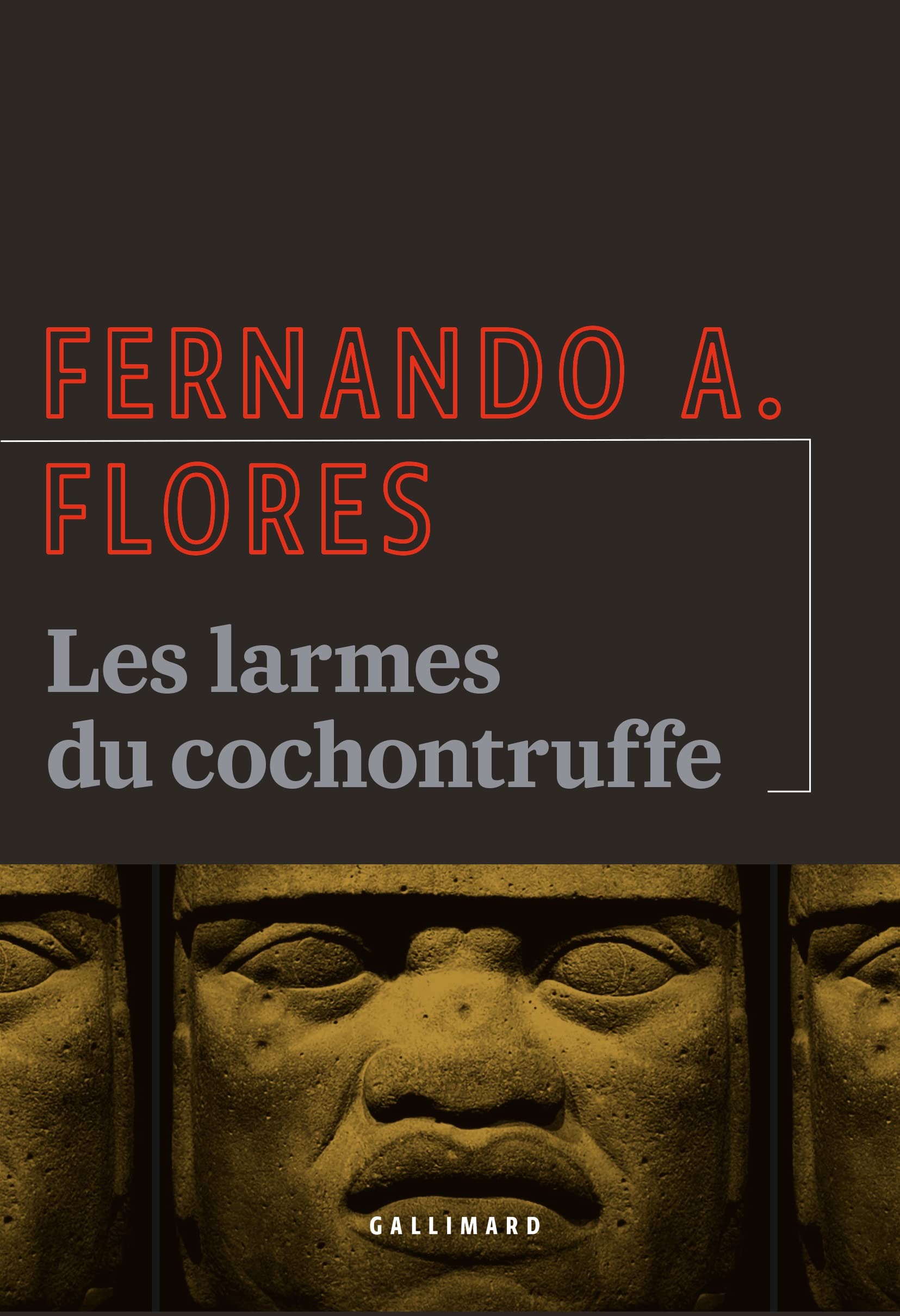 Les larmes du cochontruffe 9782072857904