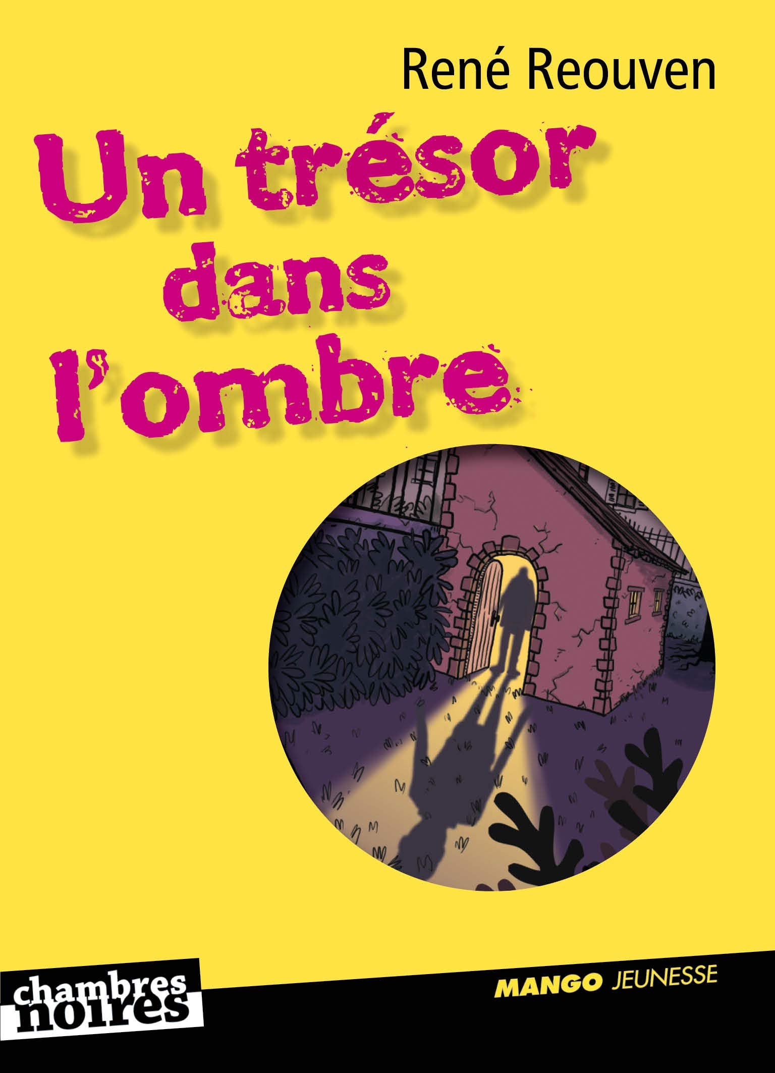 Un trésor dans l'ombre 9782740426357