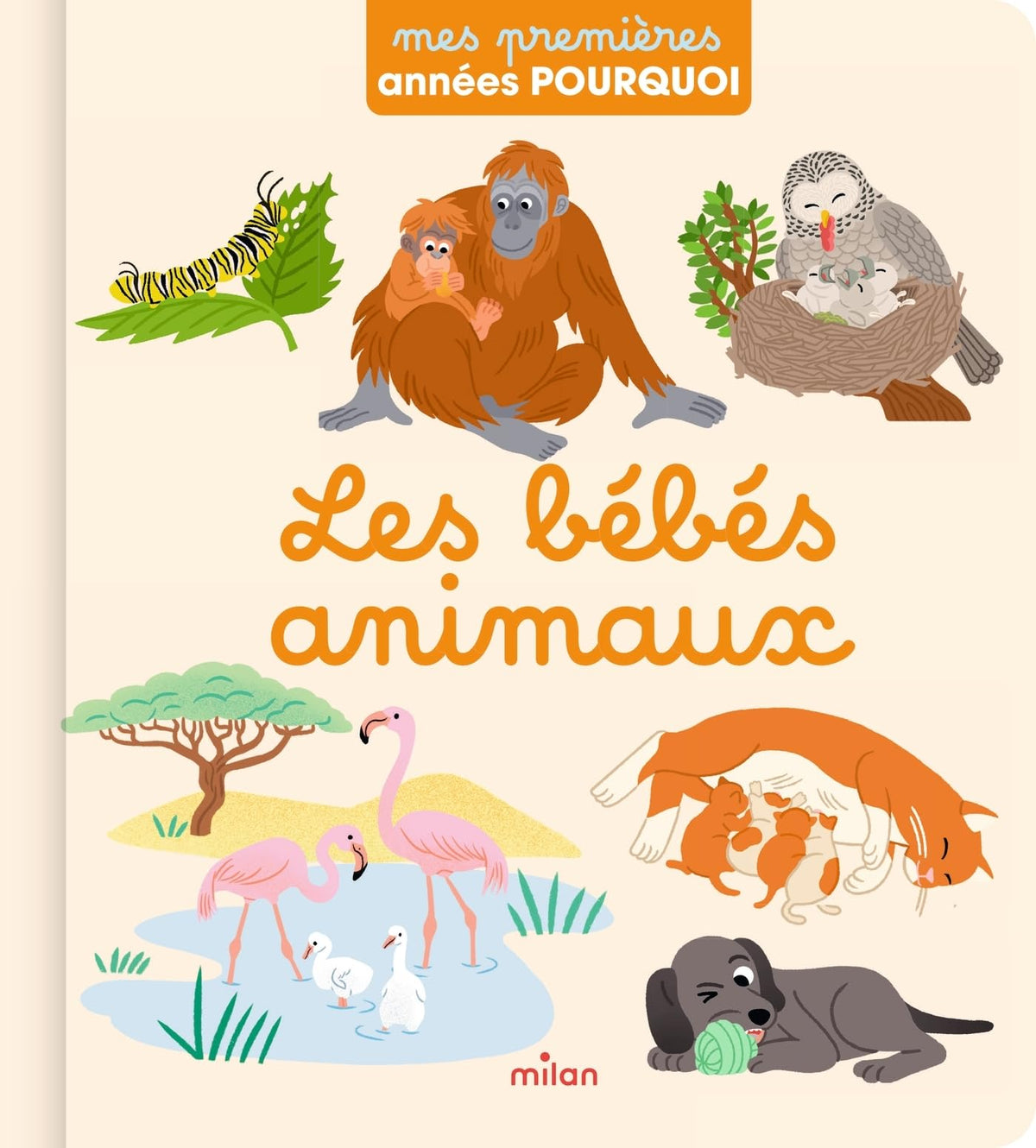 Les bébés animaux 9782408057008