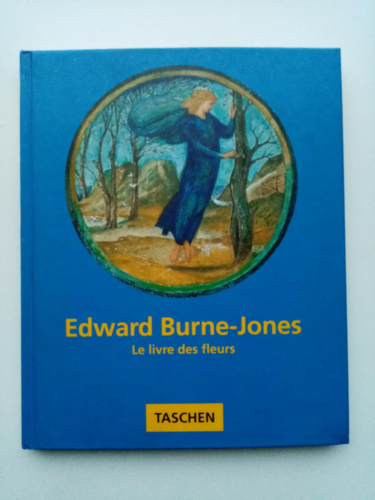 Edward Burne-Jones - Le Livre Des Fleurs 9783822889831