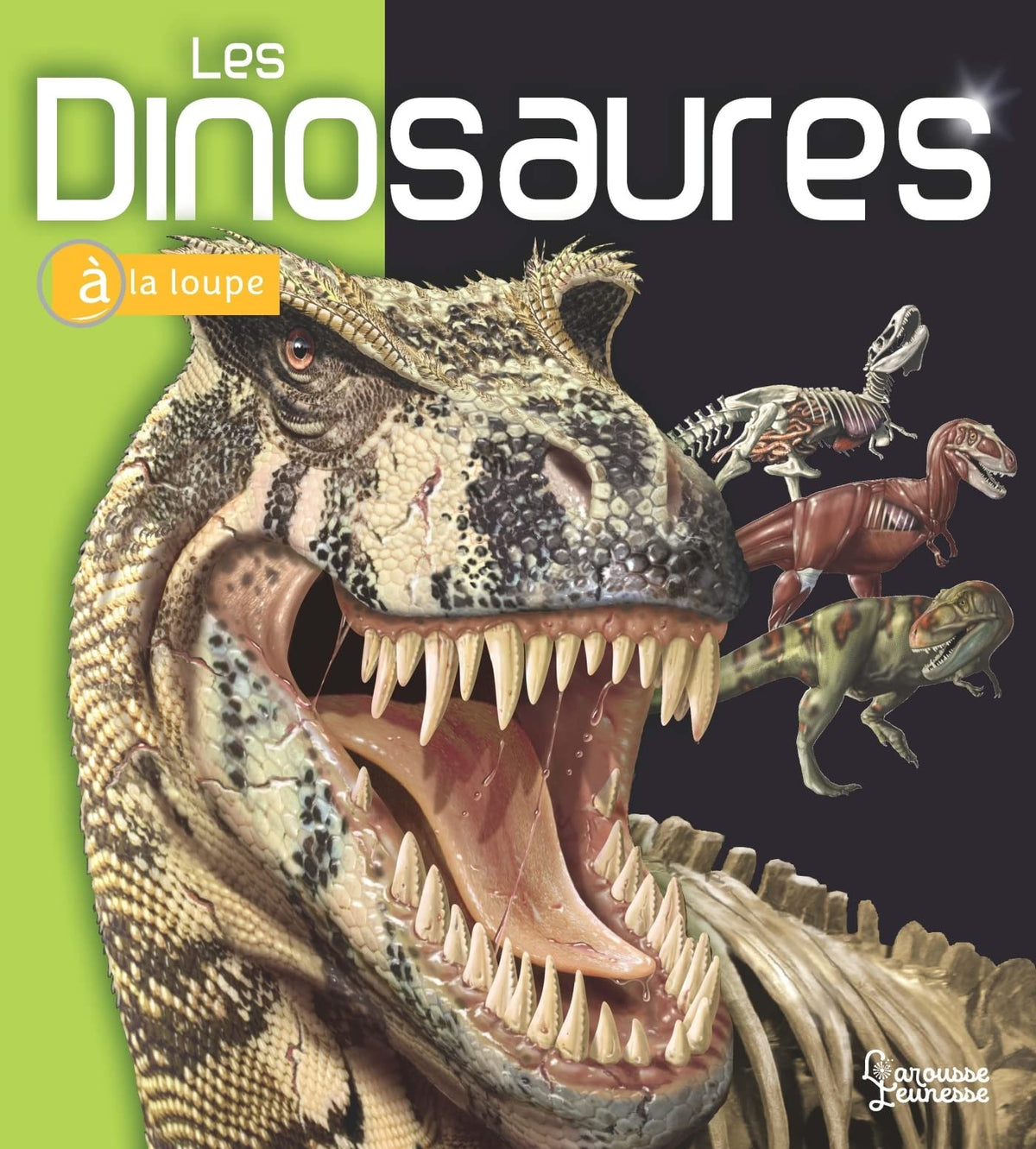 Les Dinosaures 9782036019751