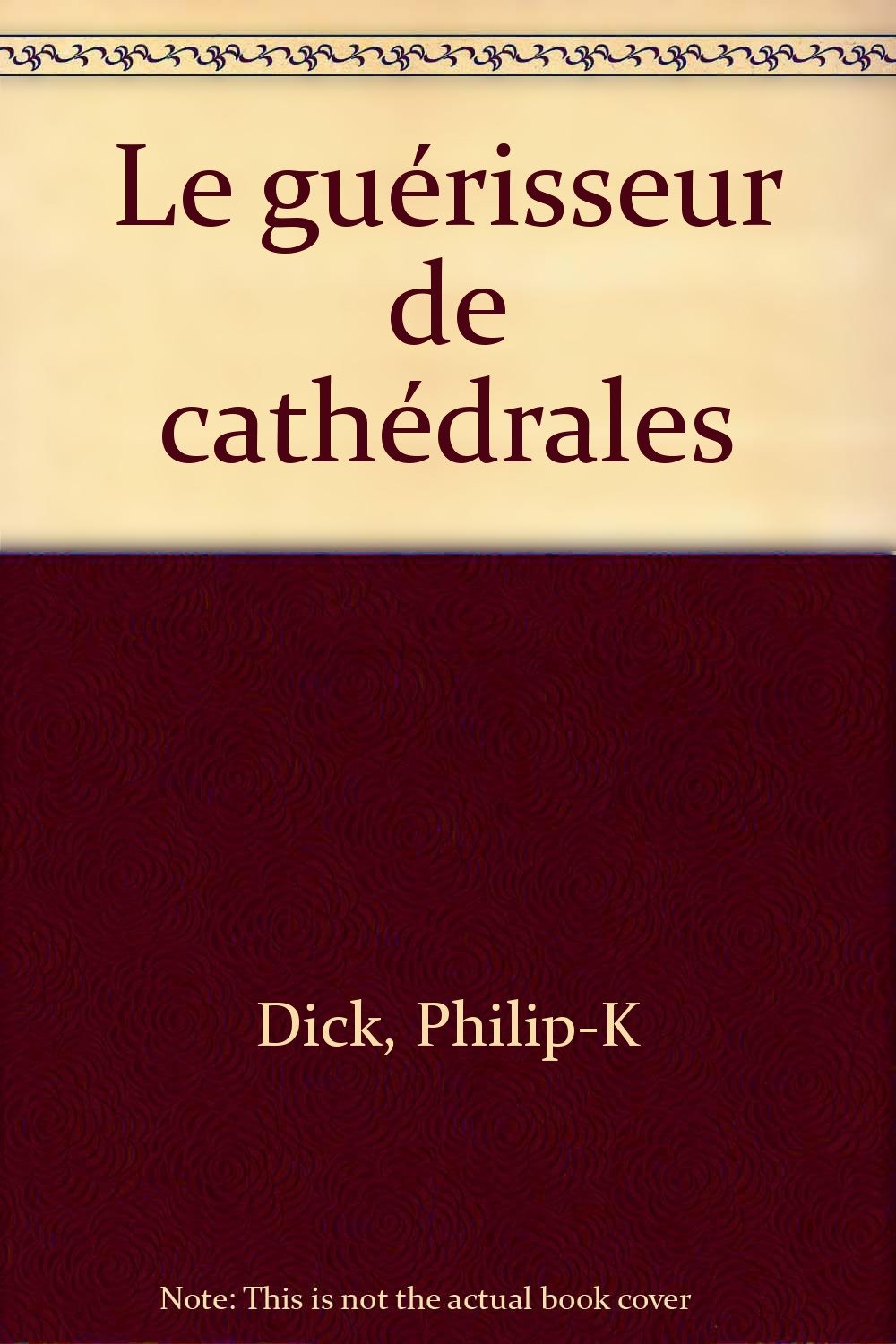 Le guérisseur de cathédrales 9782266043748