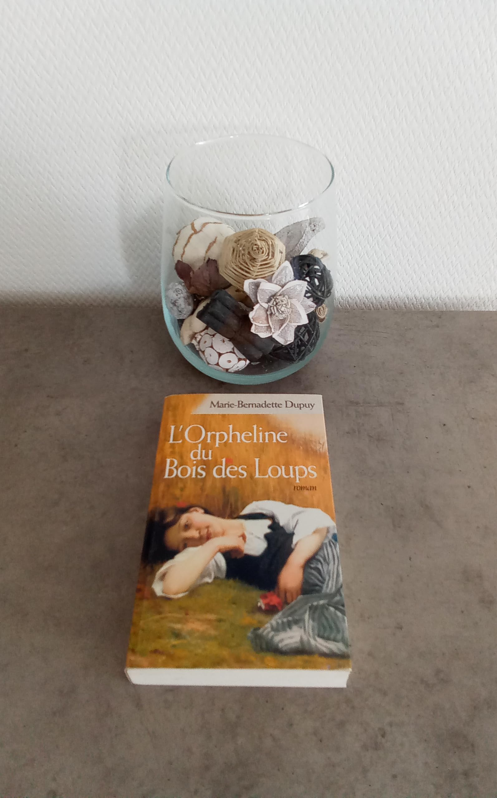 L'orpheline du bois des loups 9782702885642