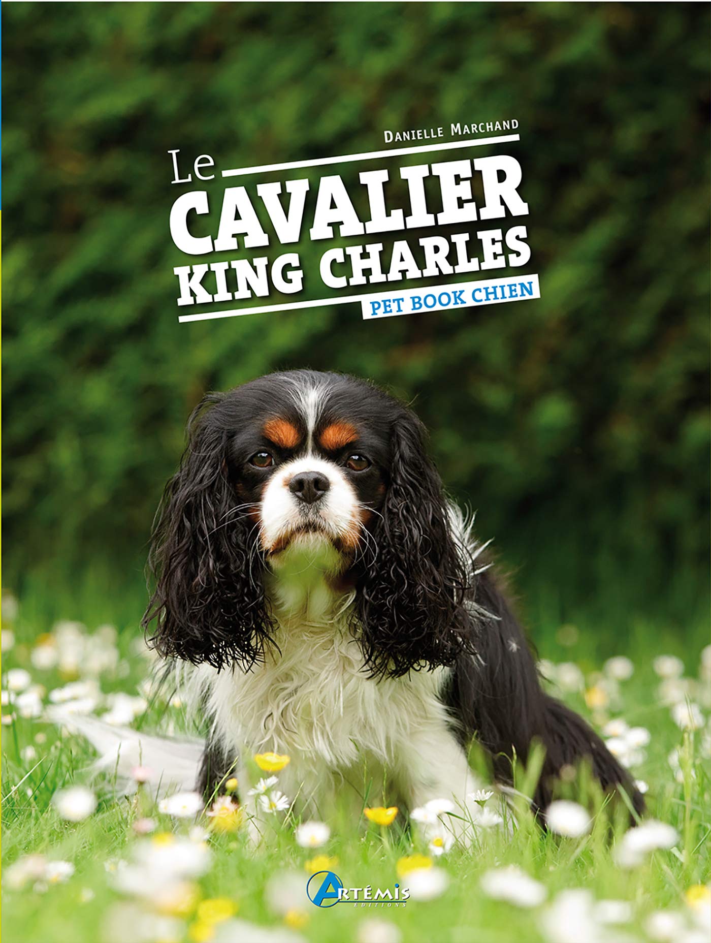 Le Cavalier King Charles 9782844163608